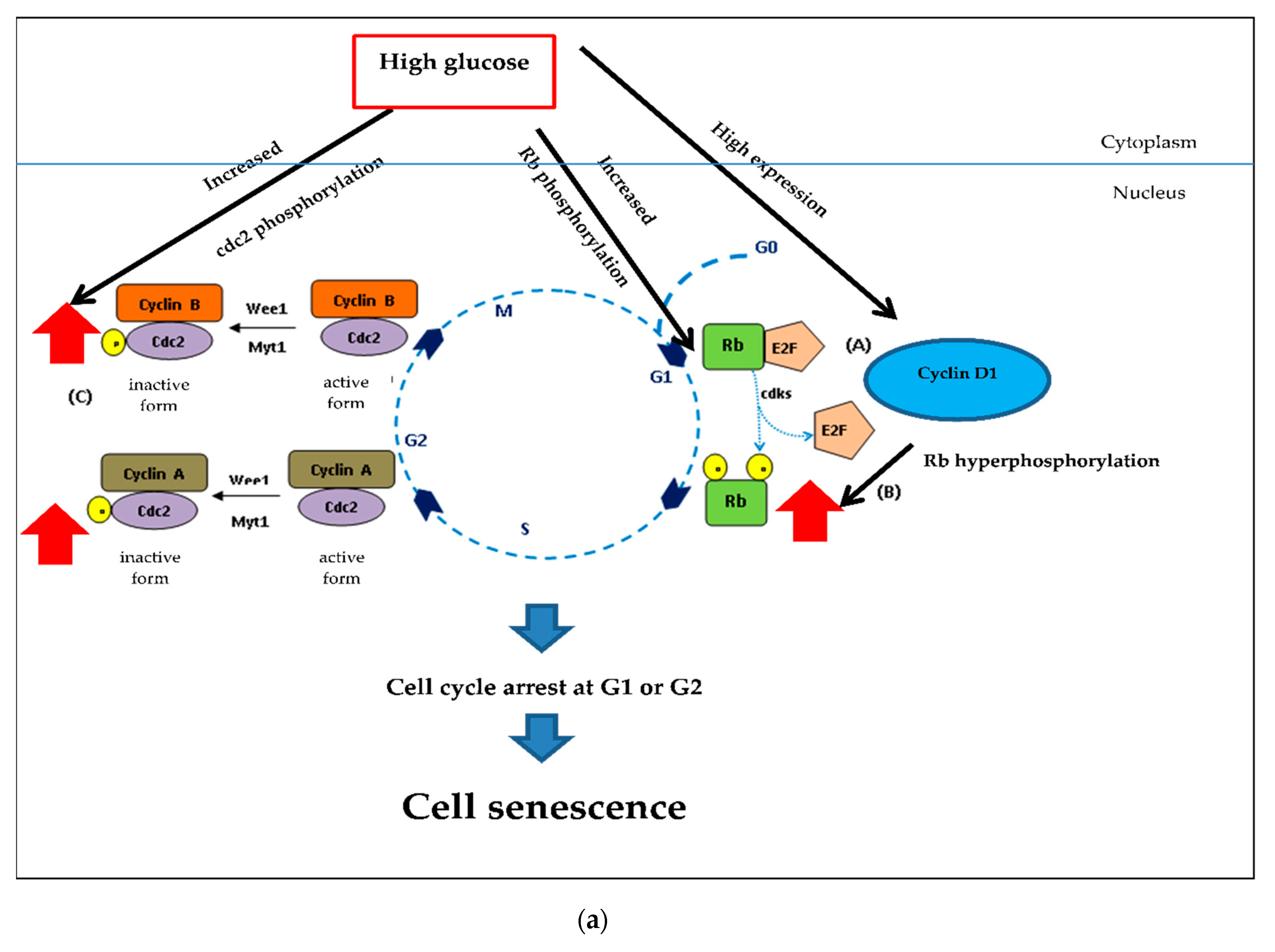 Pharmaceuticals 13 00283 g010a