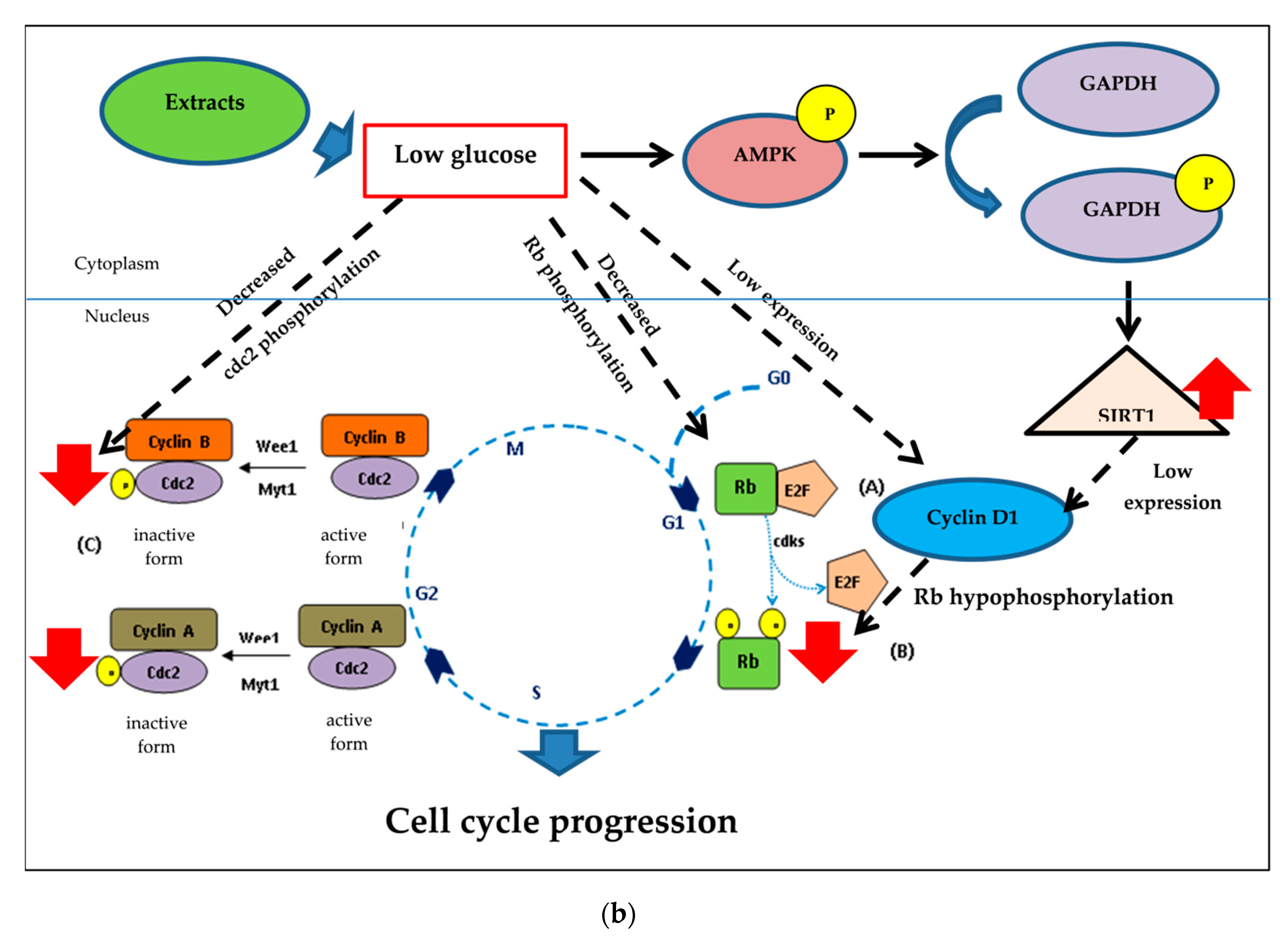 Pharmaceuticals 13 00283 g010b