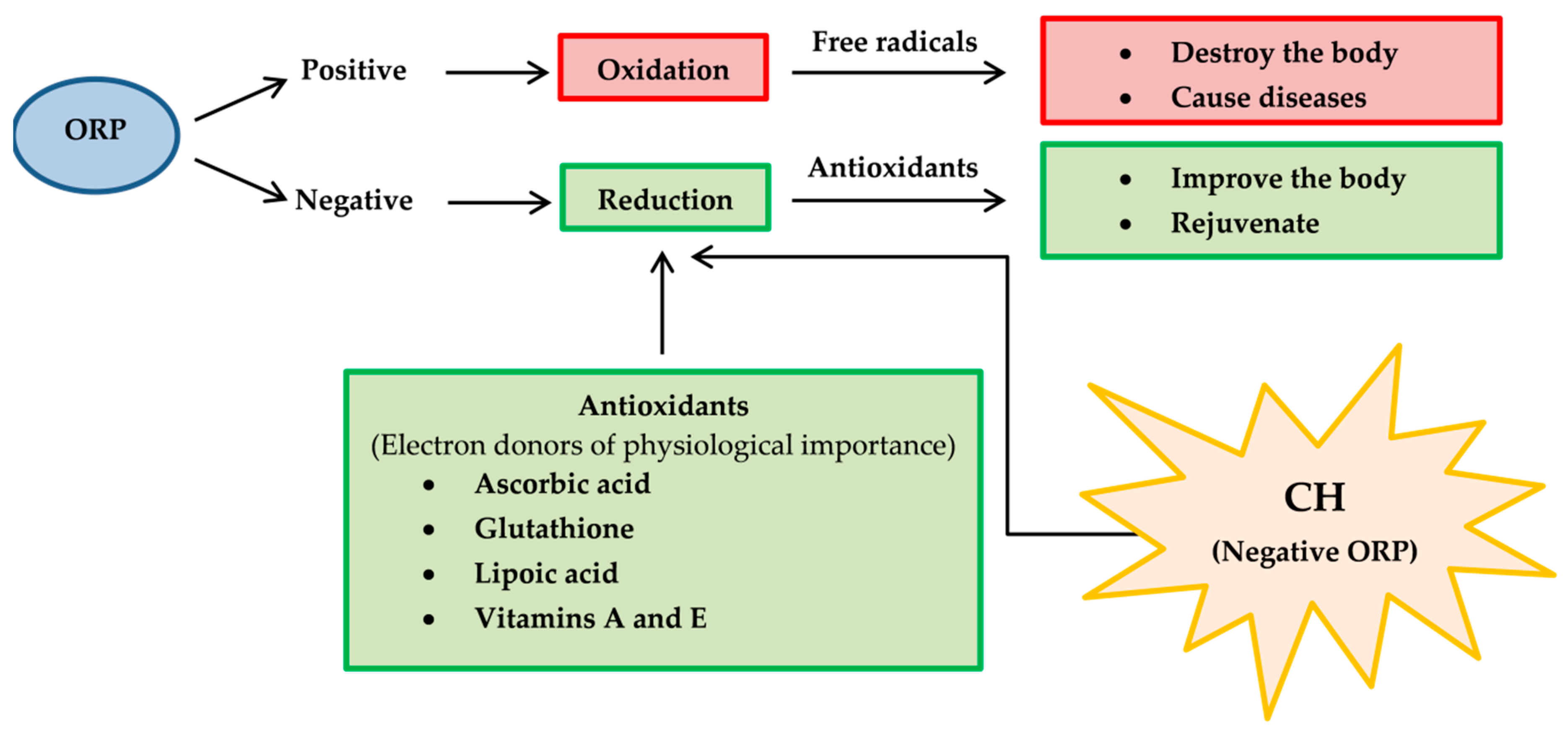 Pharmaceuticals 13 00283 g011