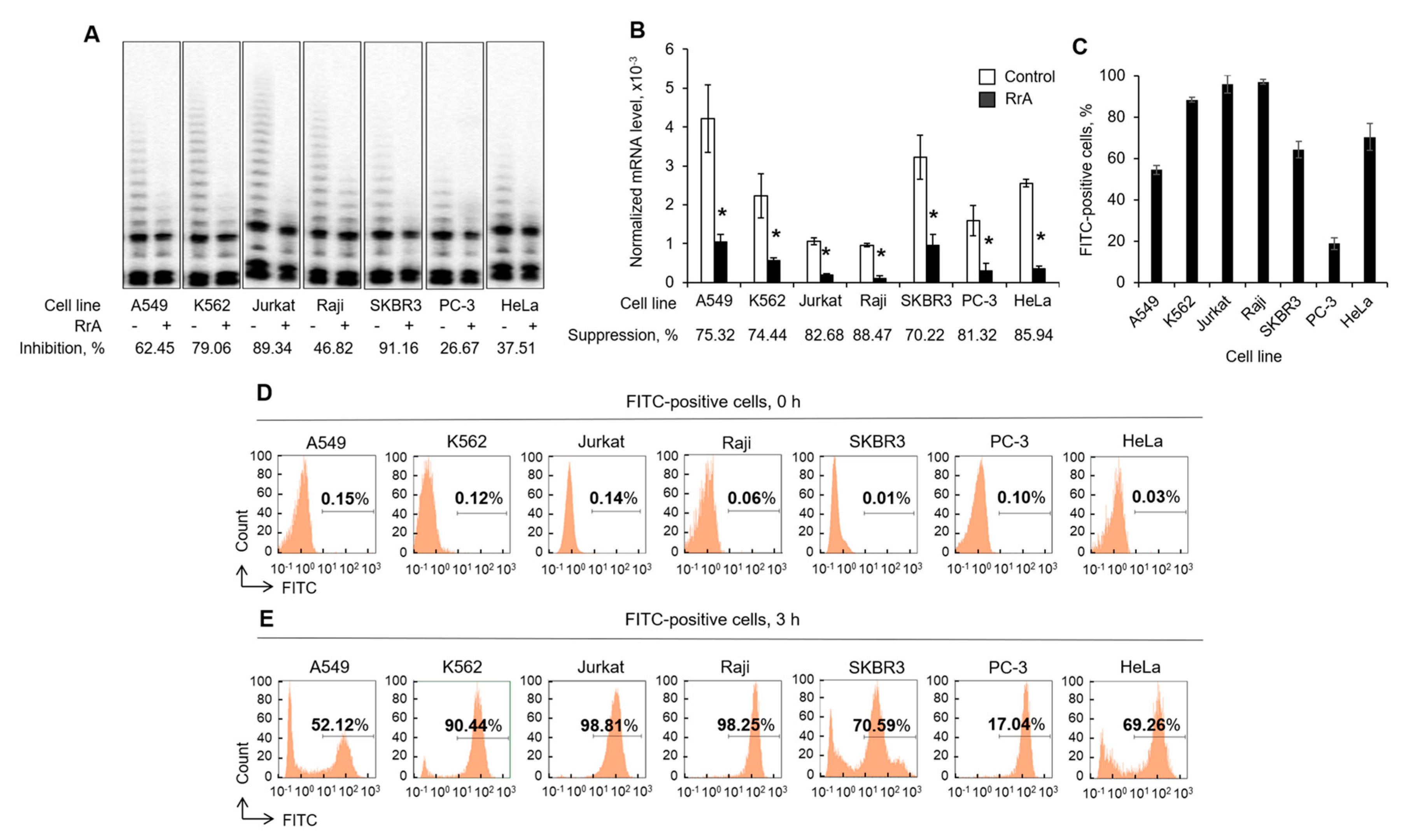 Pharmaceuticals 13 00286 g002