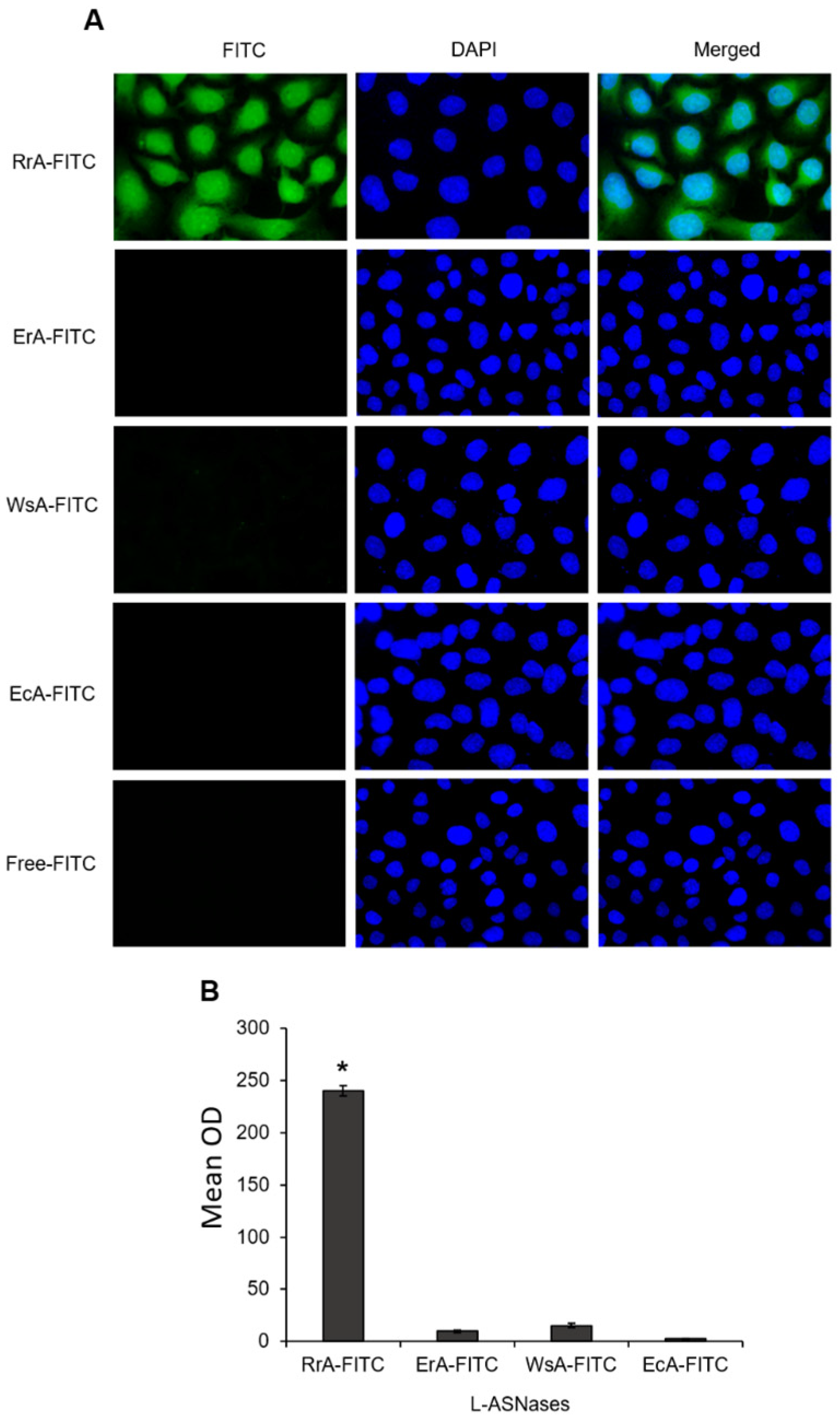Pharmaceuticals 13 00286 g003