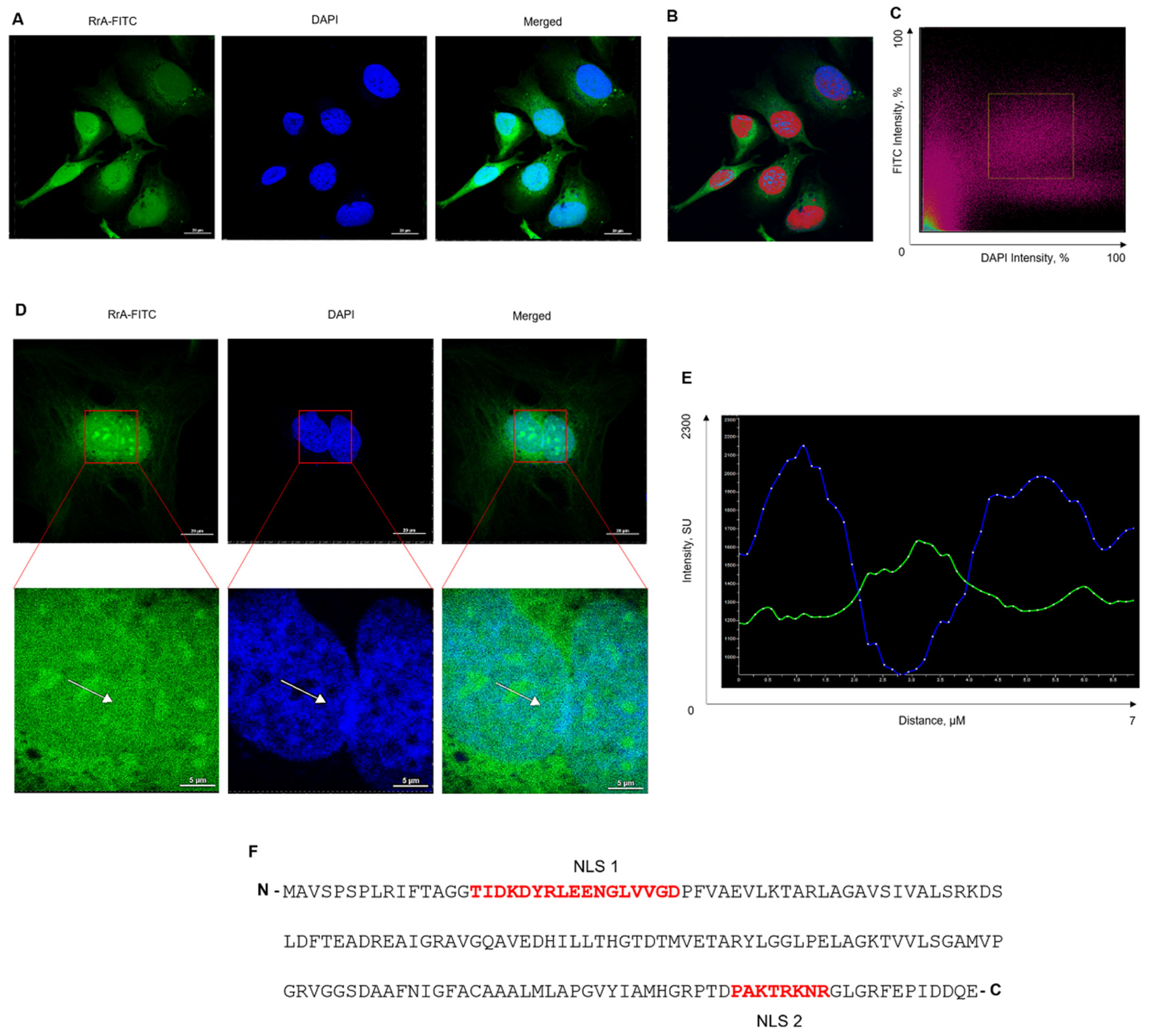 Pharmaceuticals 13 00286 g004