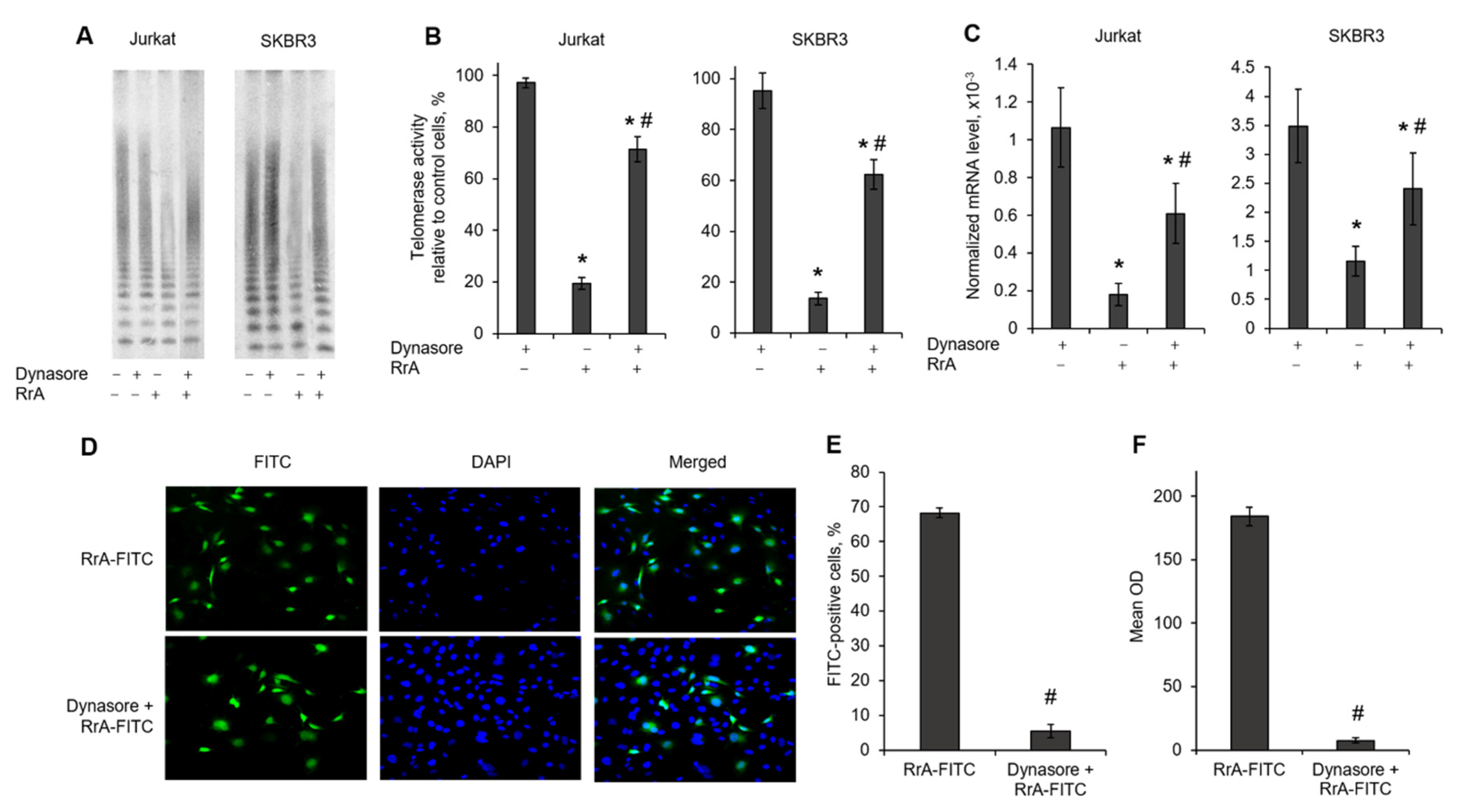 Pharmaceuticals 13 00286 g006