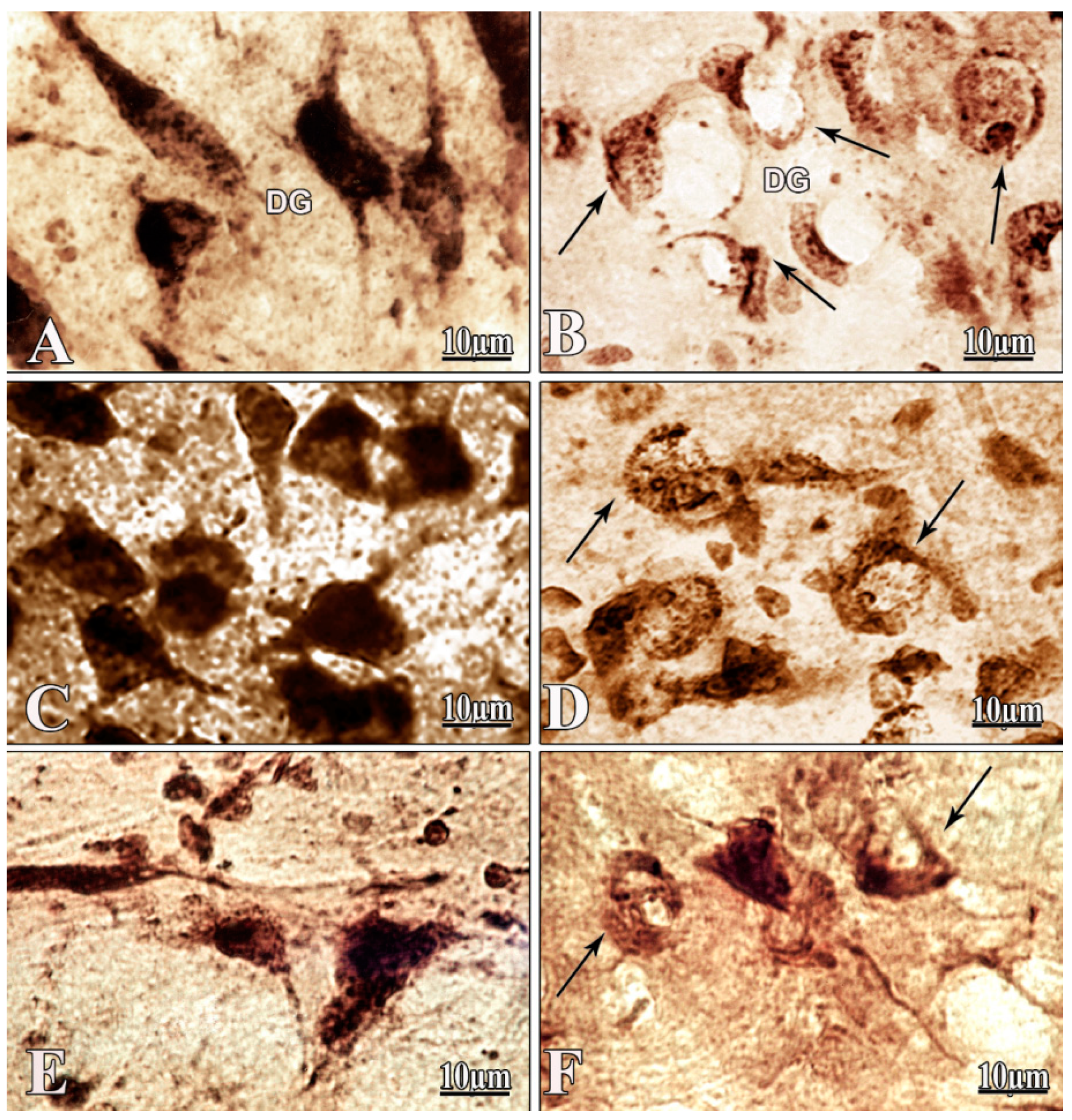 Pharmaceuticals 13 00297 g004