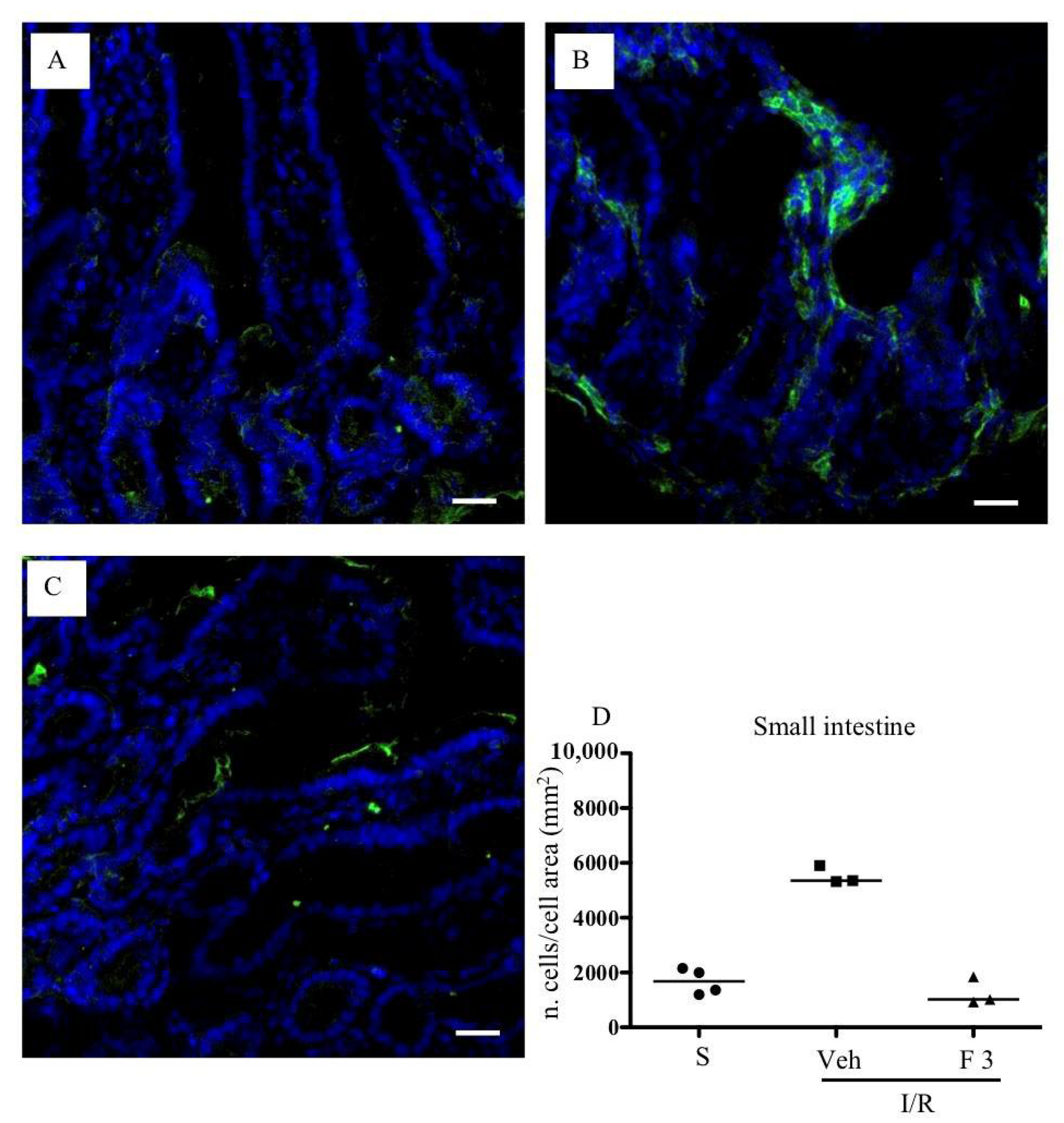 Pharmaceuticals 13 00298 g003