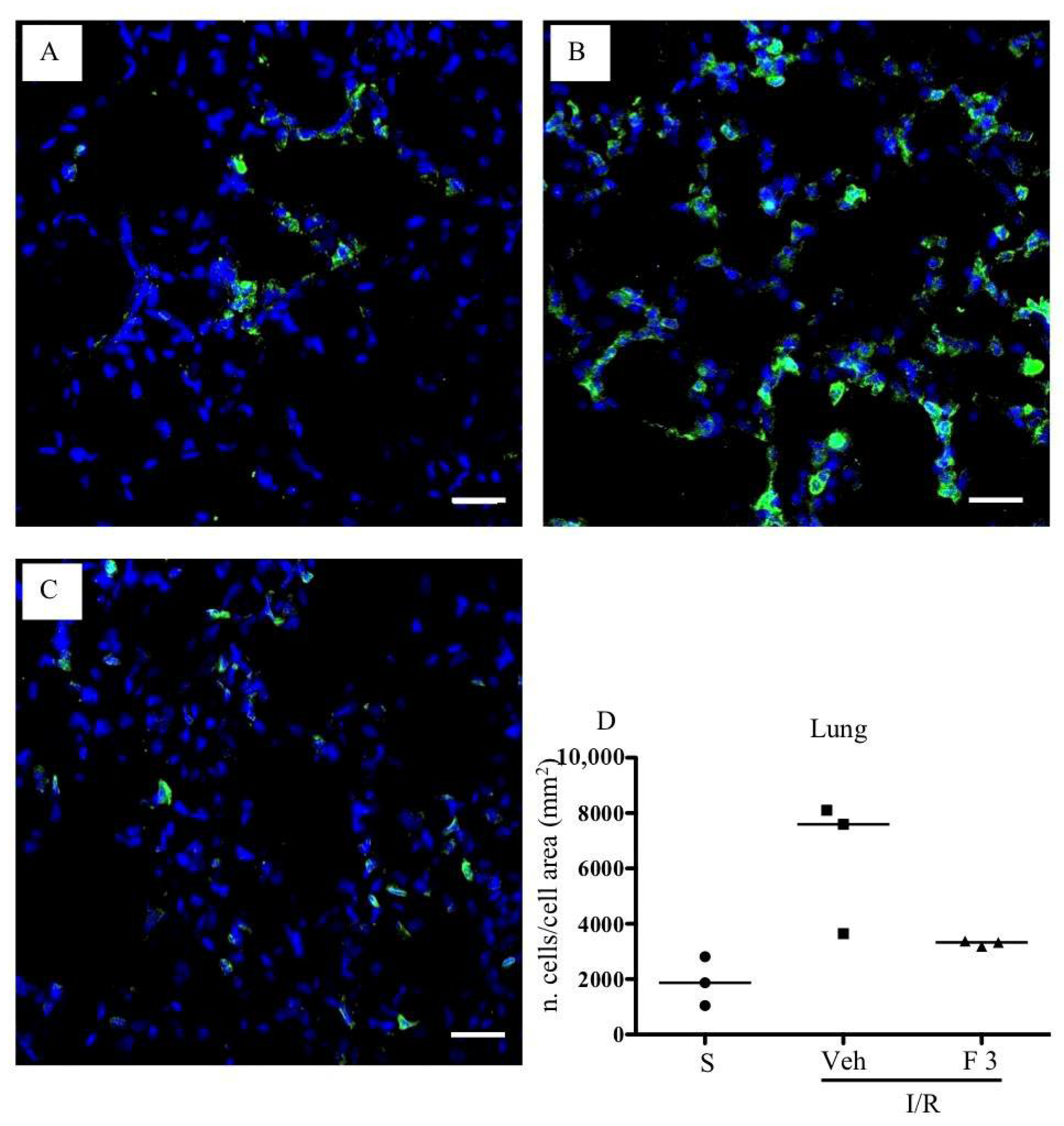 Pharmaceuticals 13 00298 g004