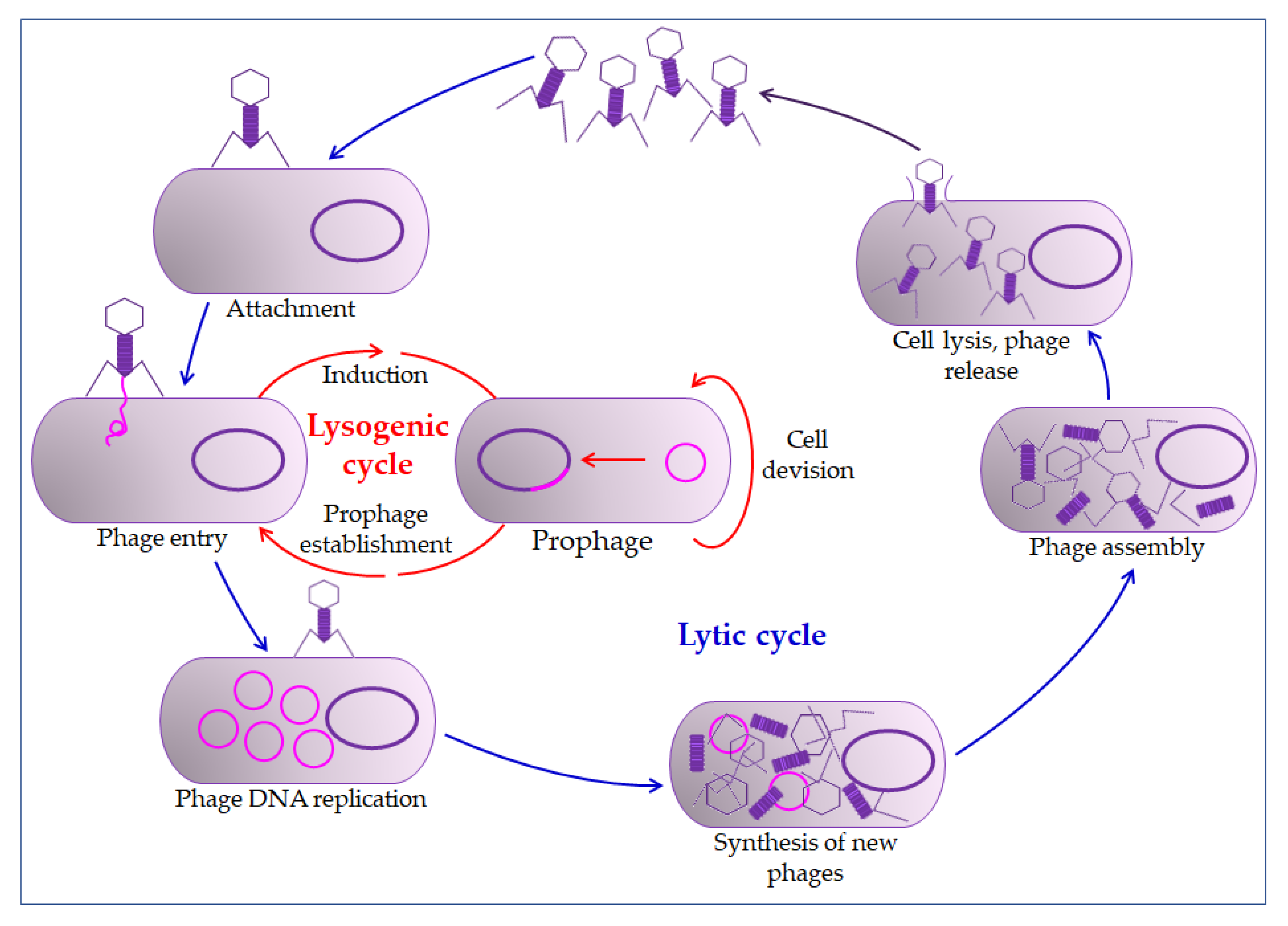 Pharmaceuticals 13 00299 g002
