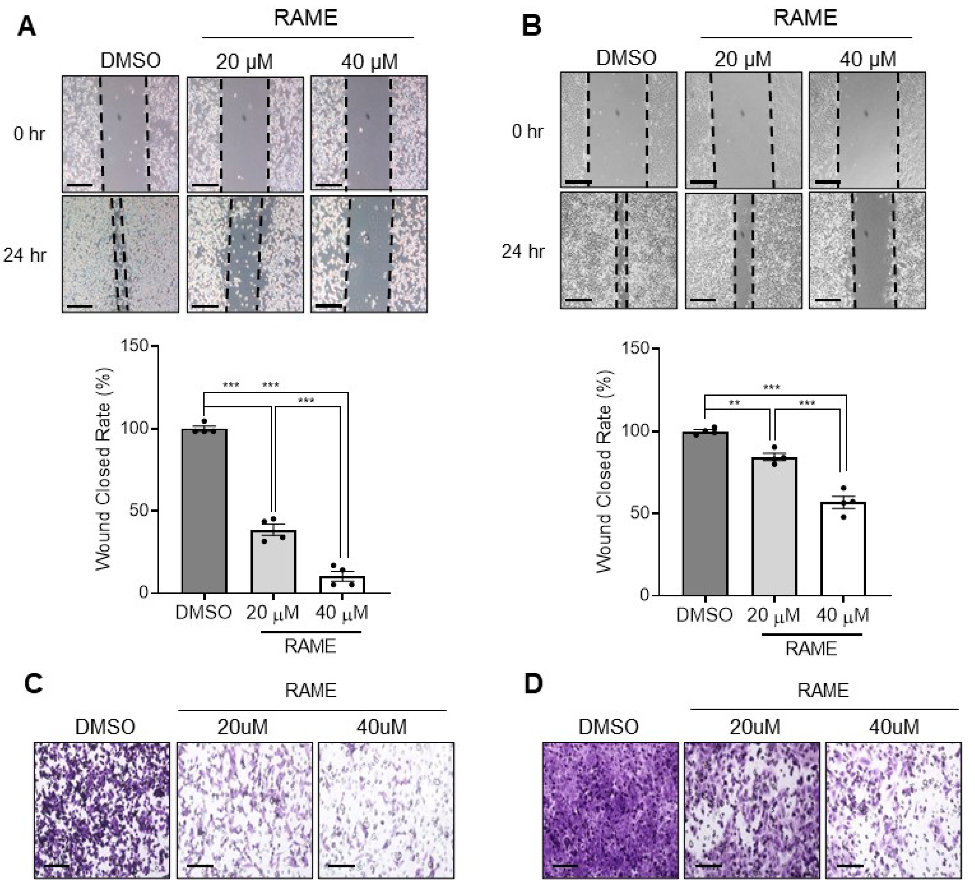 Pharmaceuticals 13 00302 g003