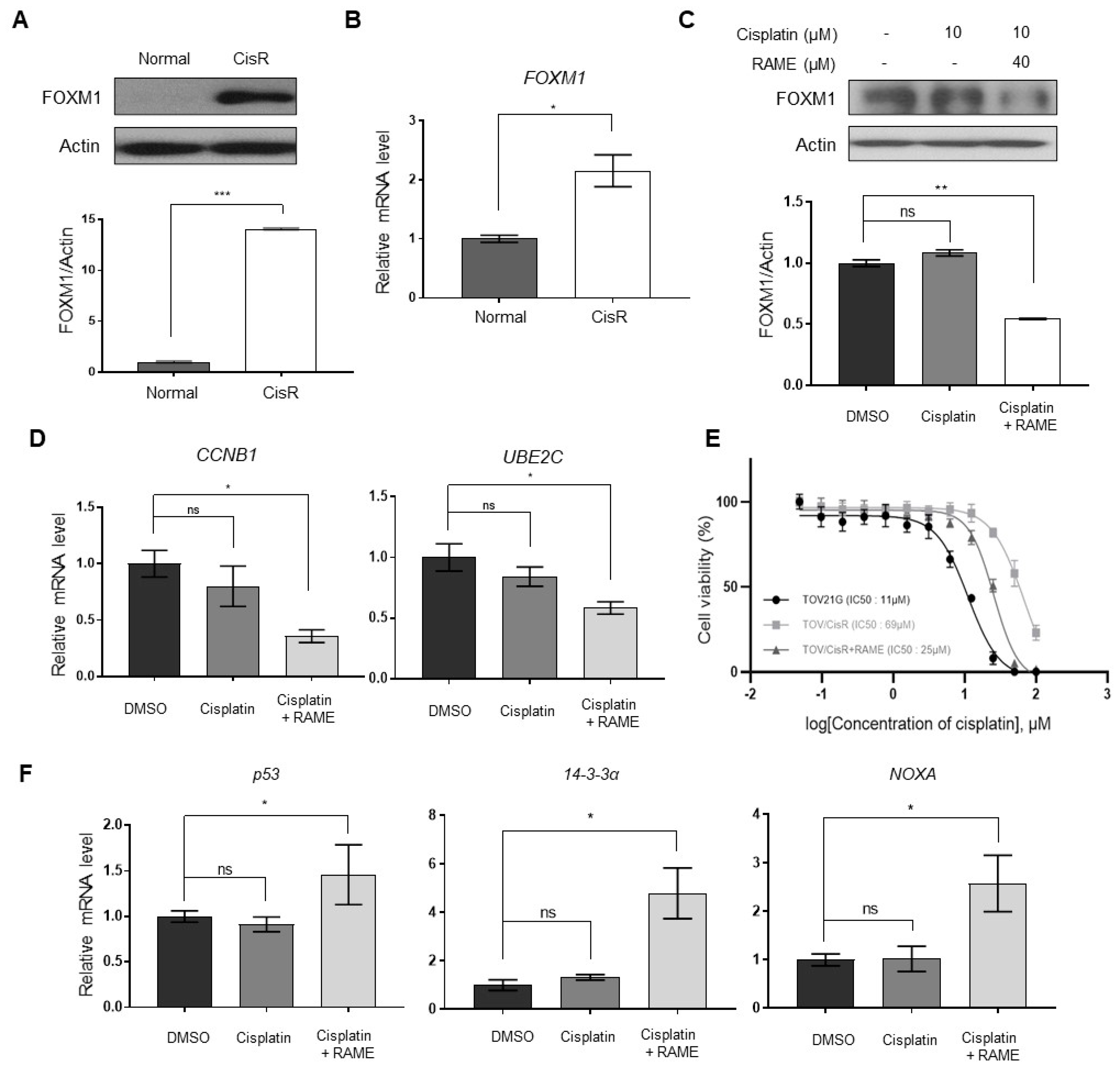 Pharmaceuticals 13 00302 g005
