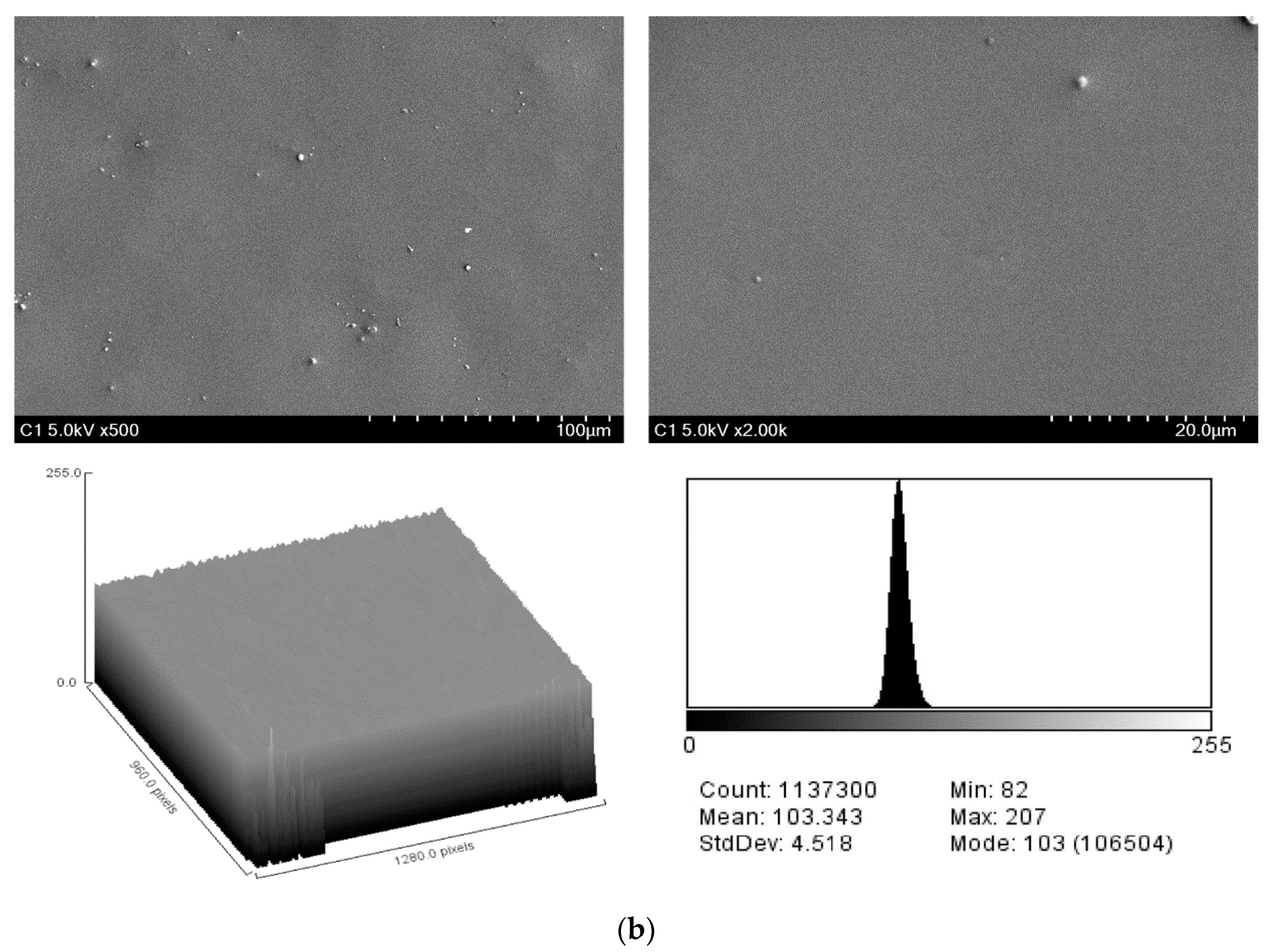 Pharmaceuticals 13 00304 g001b