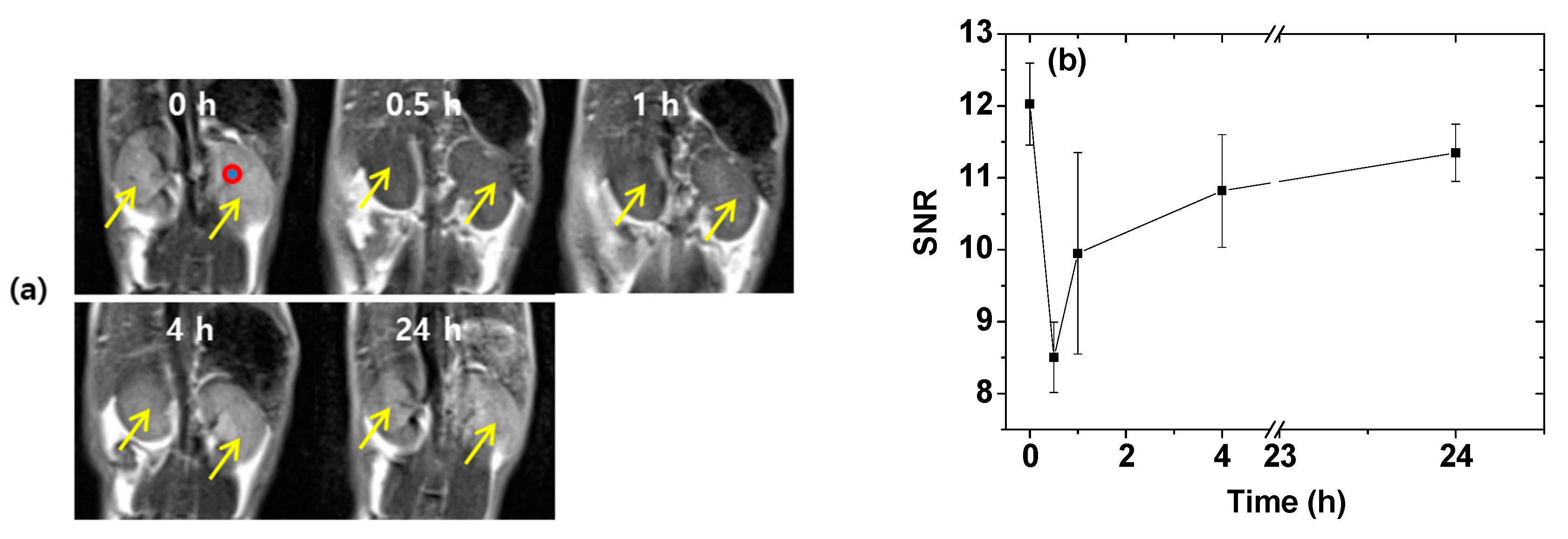Pharmaceuticals 13 00312 g008 Pharmaceuticals 13 00312 g008