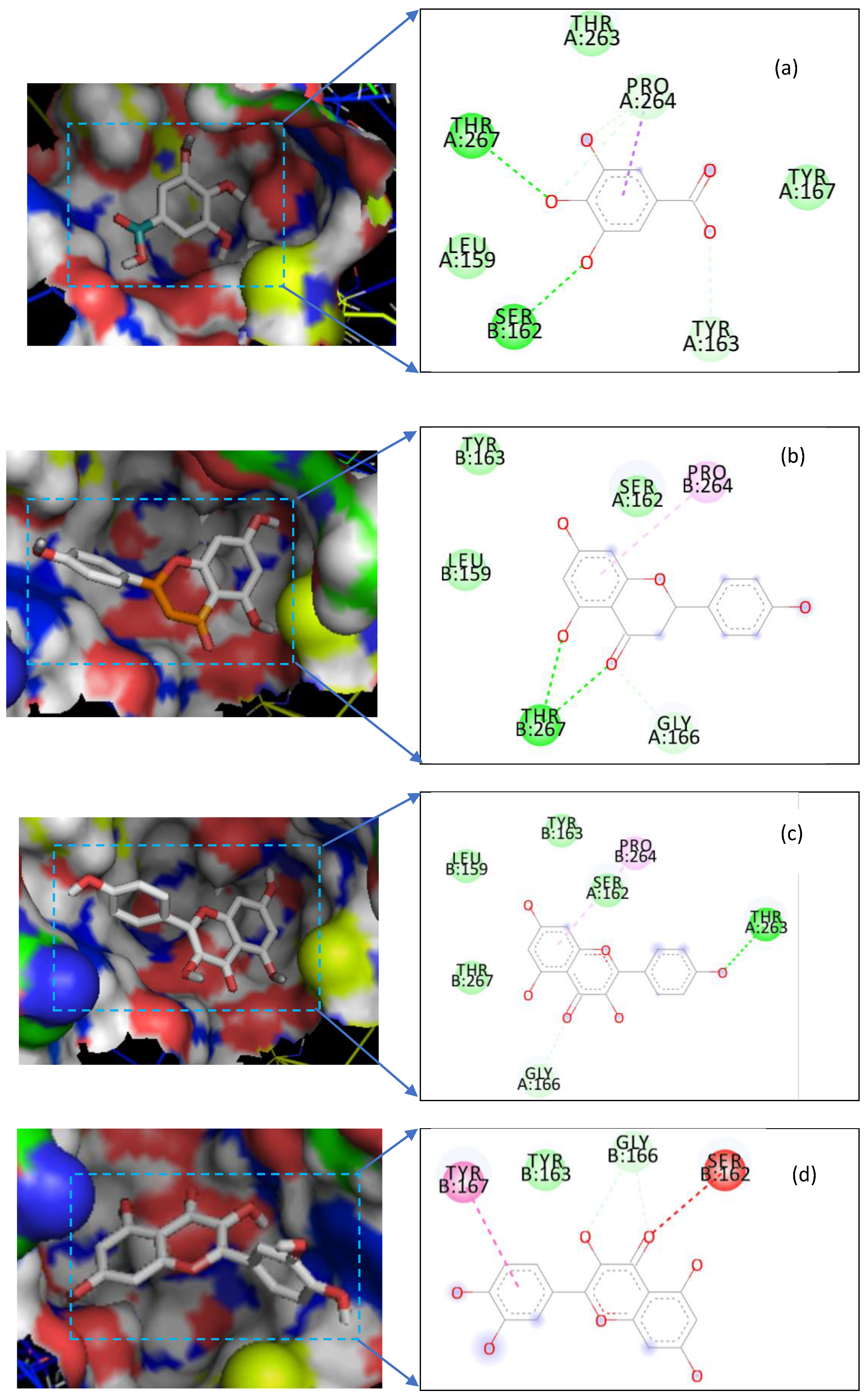 Pharmaceuticals 13 00320 g003