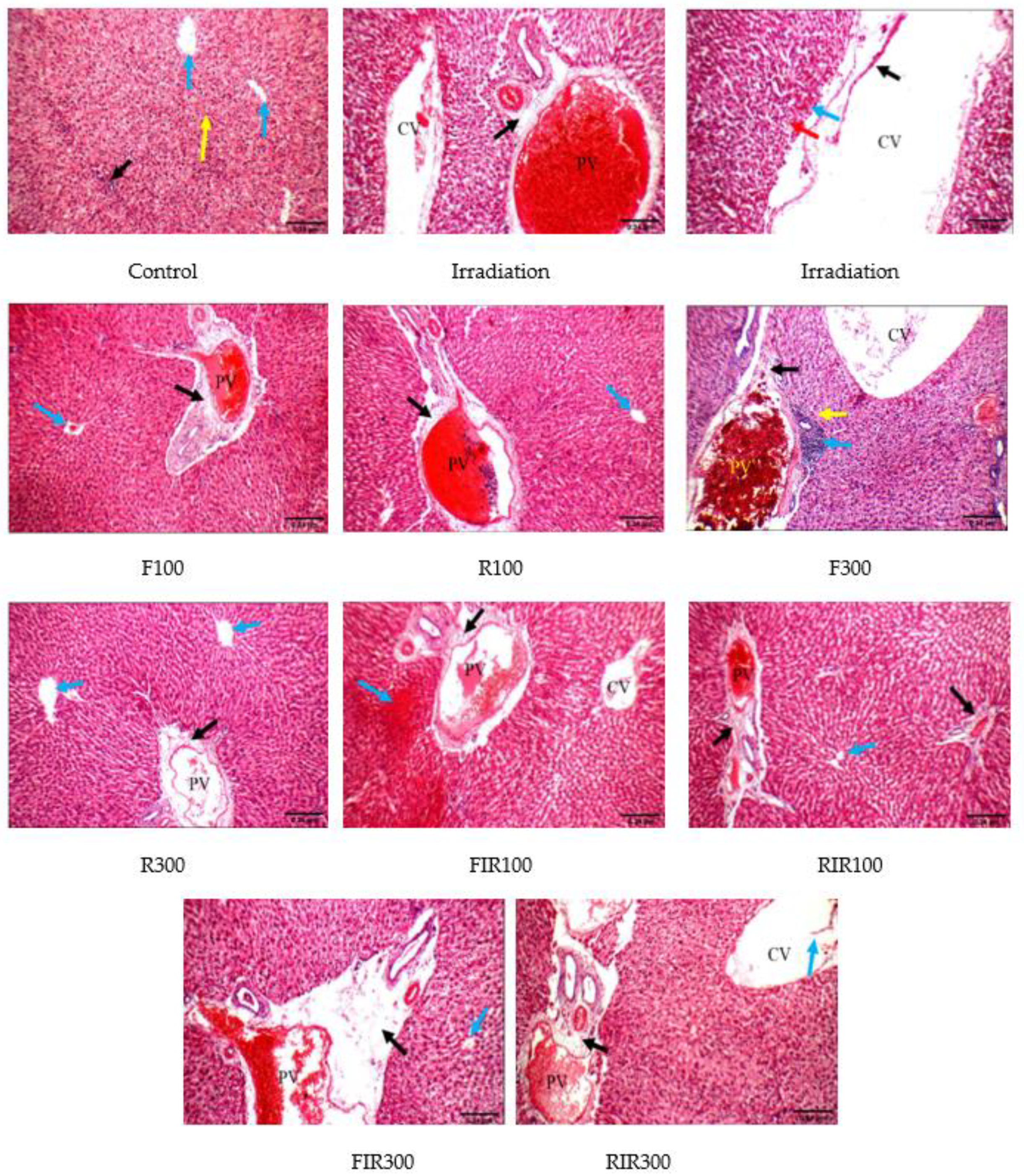 Pharmaceuticals 13 00320 g005