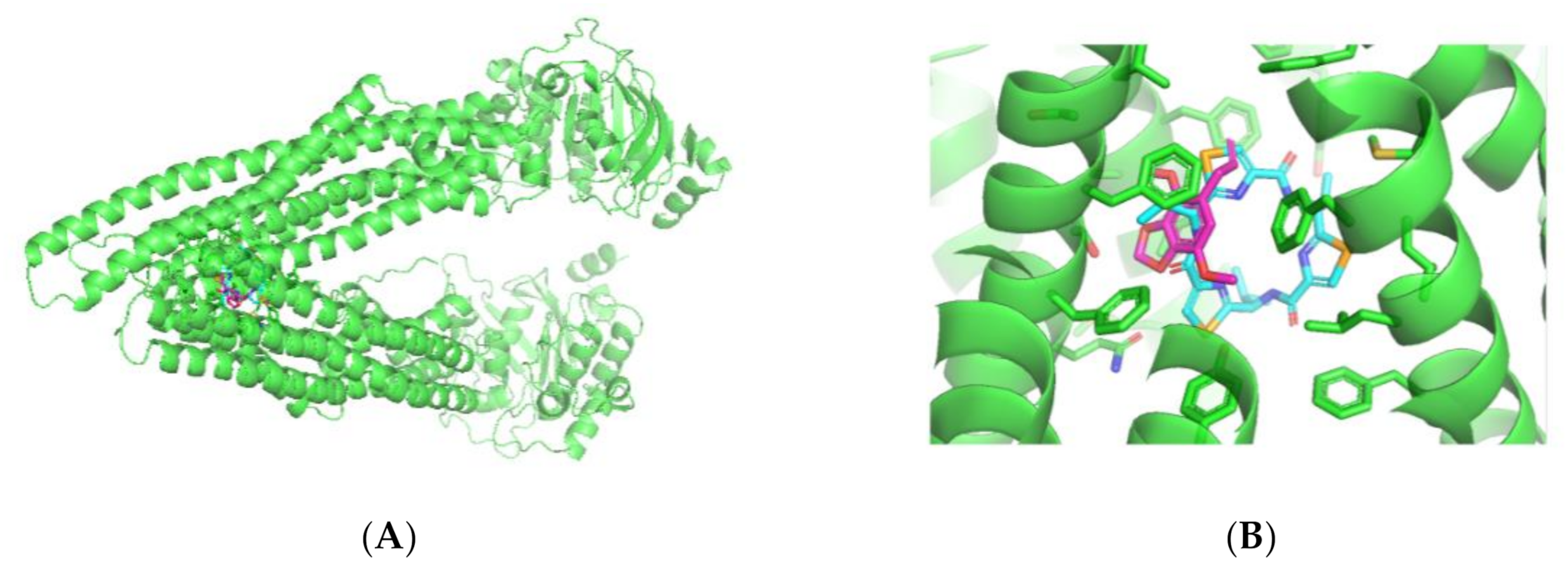 Pharmaceuticals 13 00327 g005