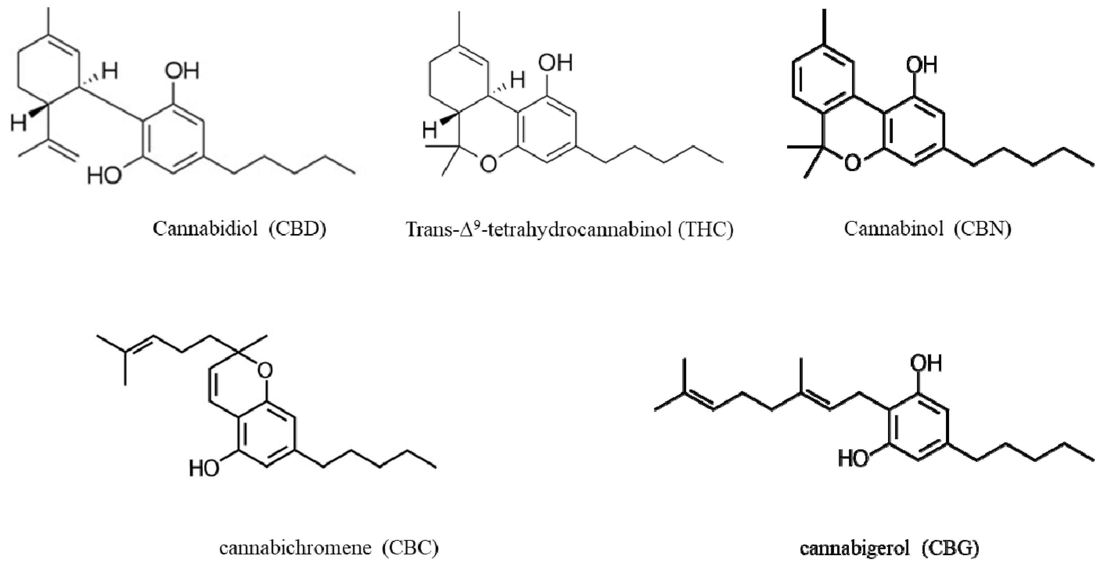 Pharmaceuticals 13 00328 g001