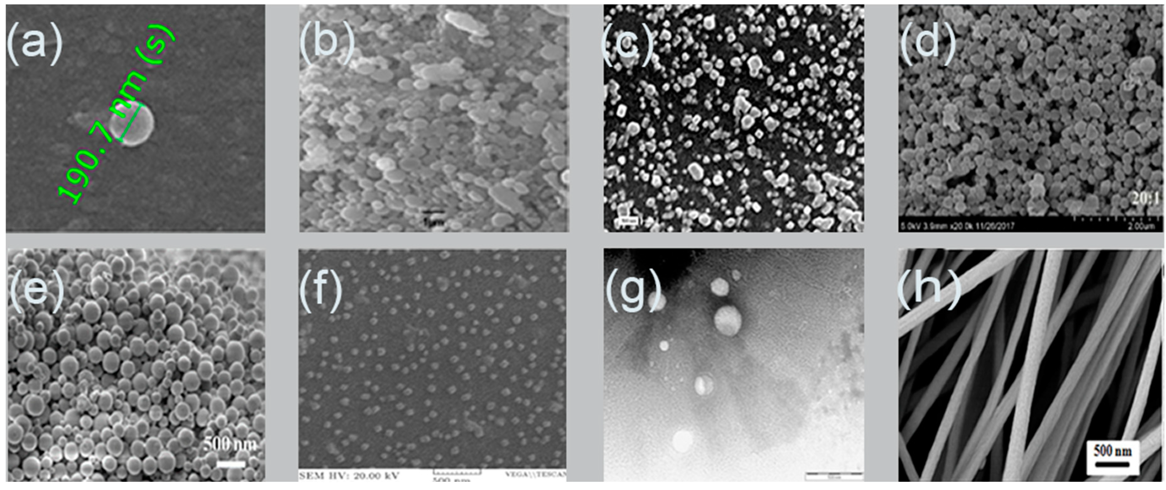 Pharmaceuticals 13 00335 g002 Pharmaceuticals 13 00335 g002