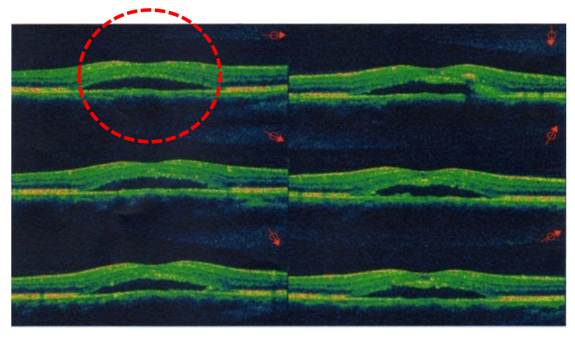 Pharmaceuticals 13 00336 g002