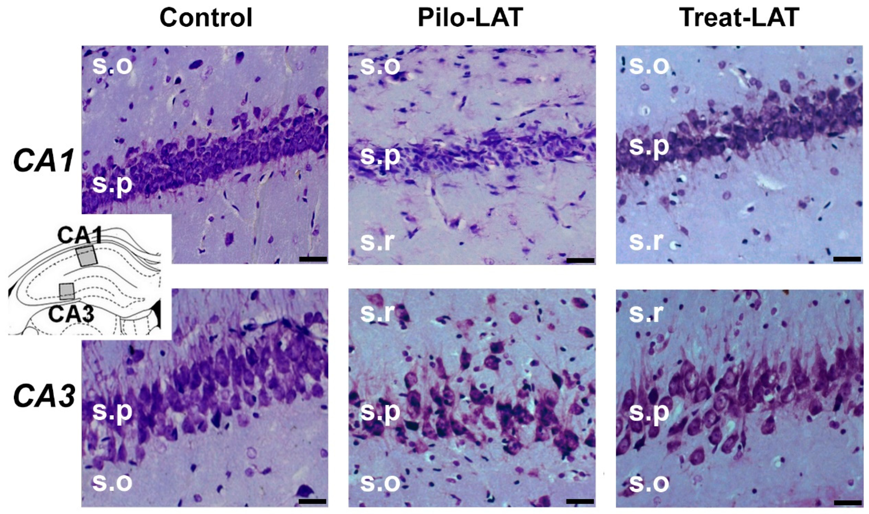 Pharmaceuticals 13 00340 g003