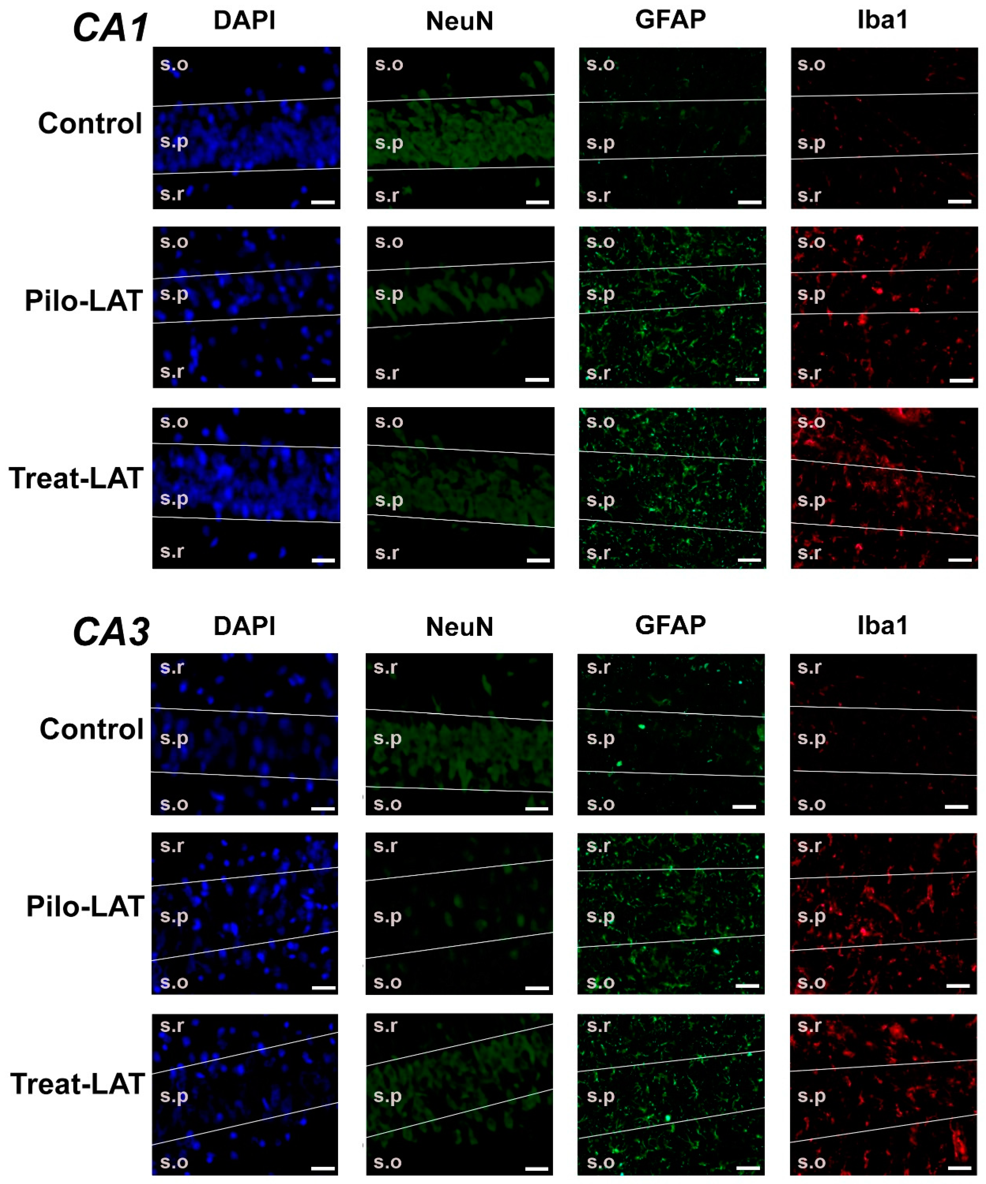 Pharmaceuticals 13 00340 g004