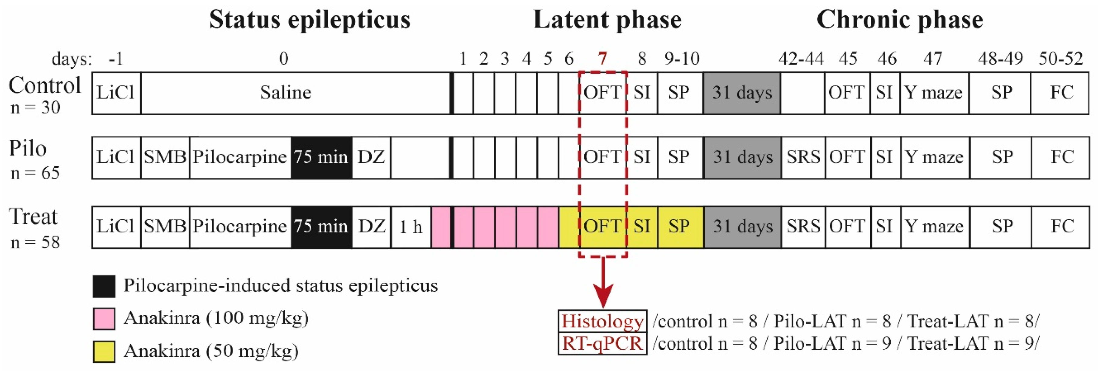 Pharmaceuticals 13 00340 g014