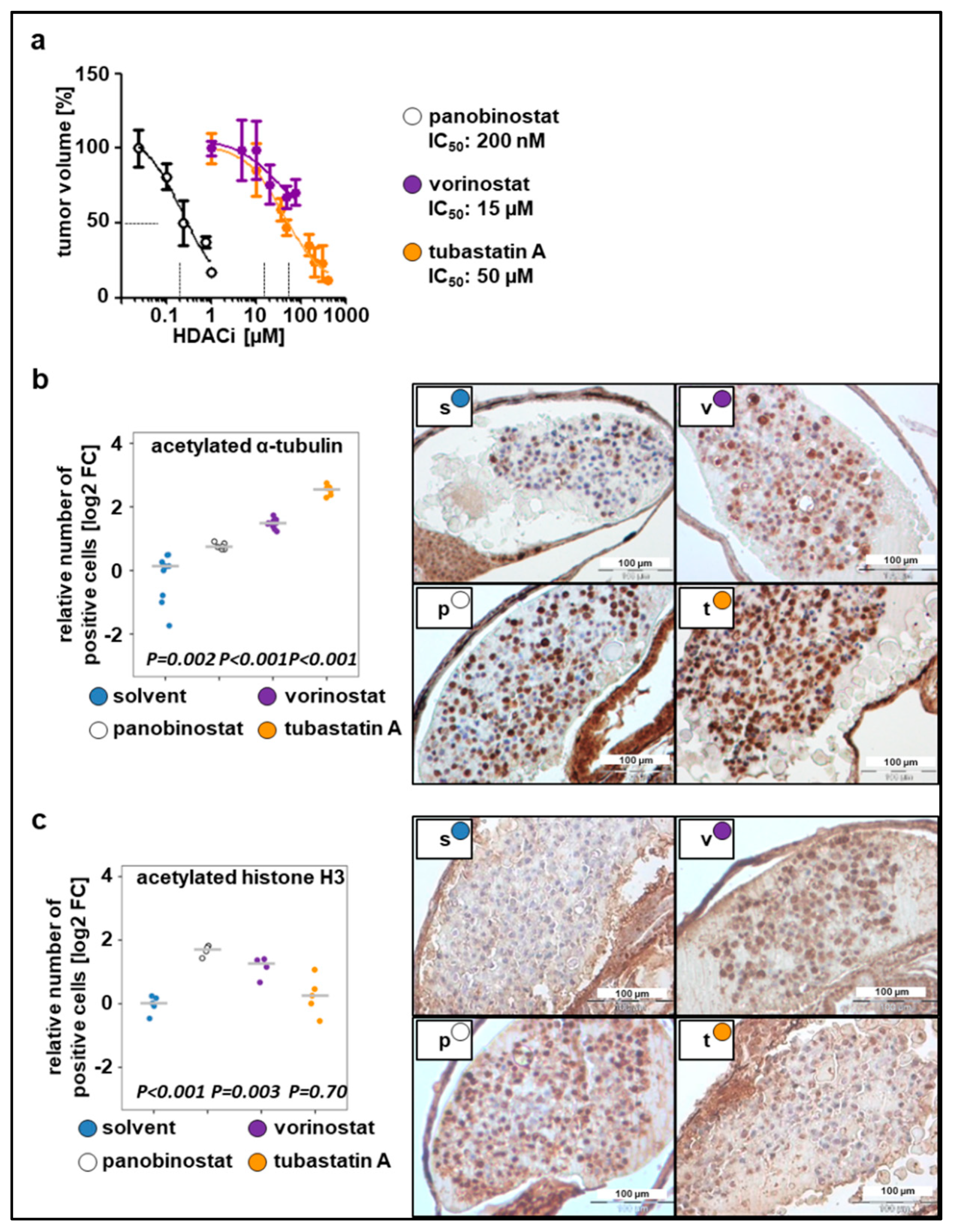 Pharmaceuticals 13 00345 g002 Pharmaceuticals 13 00345 g002