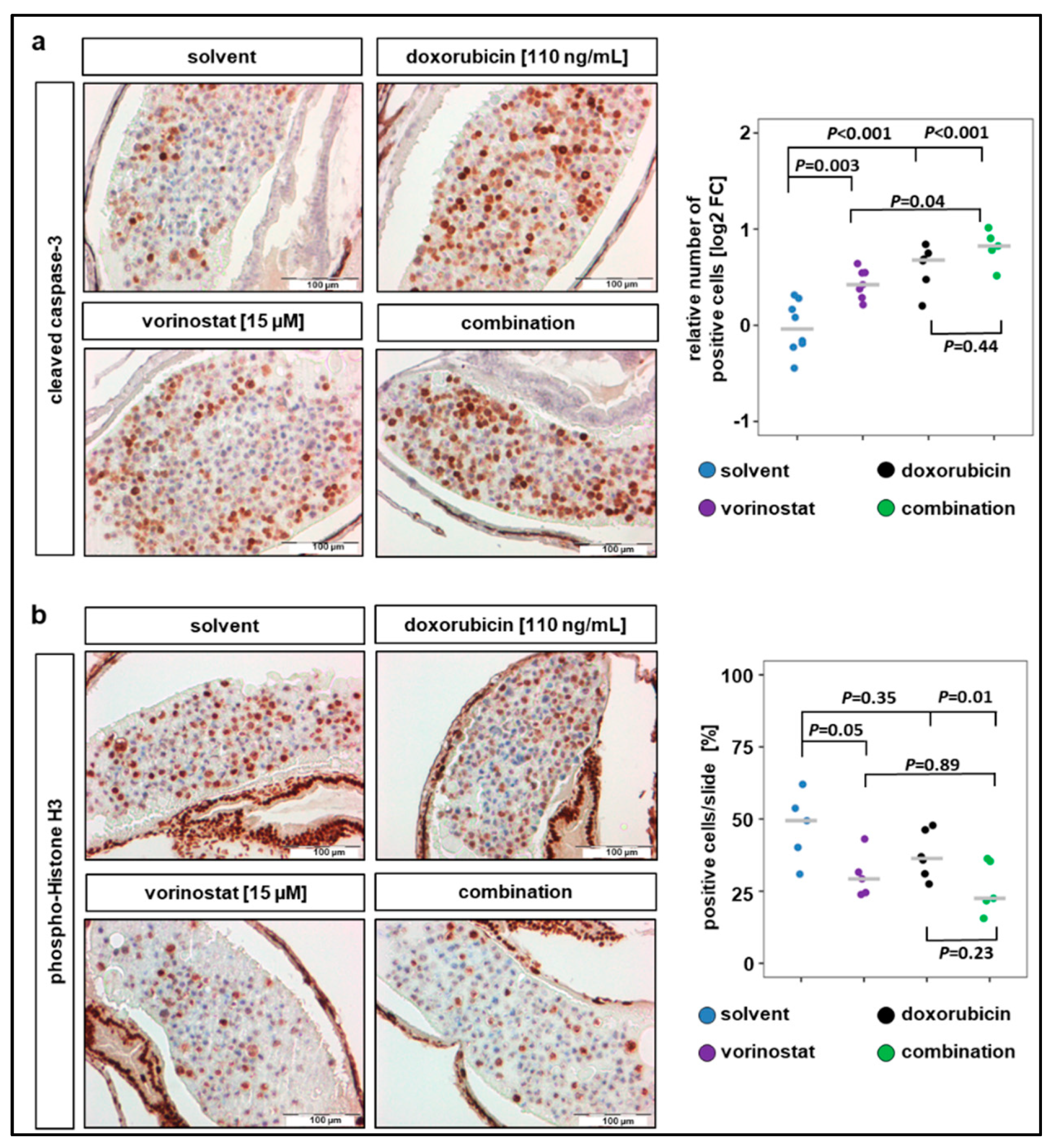 Pharmaceuticals 13 00345 g004 Pharmaceuticals 13 00345 g004