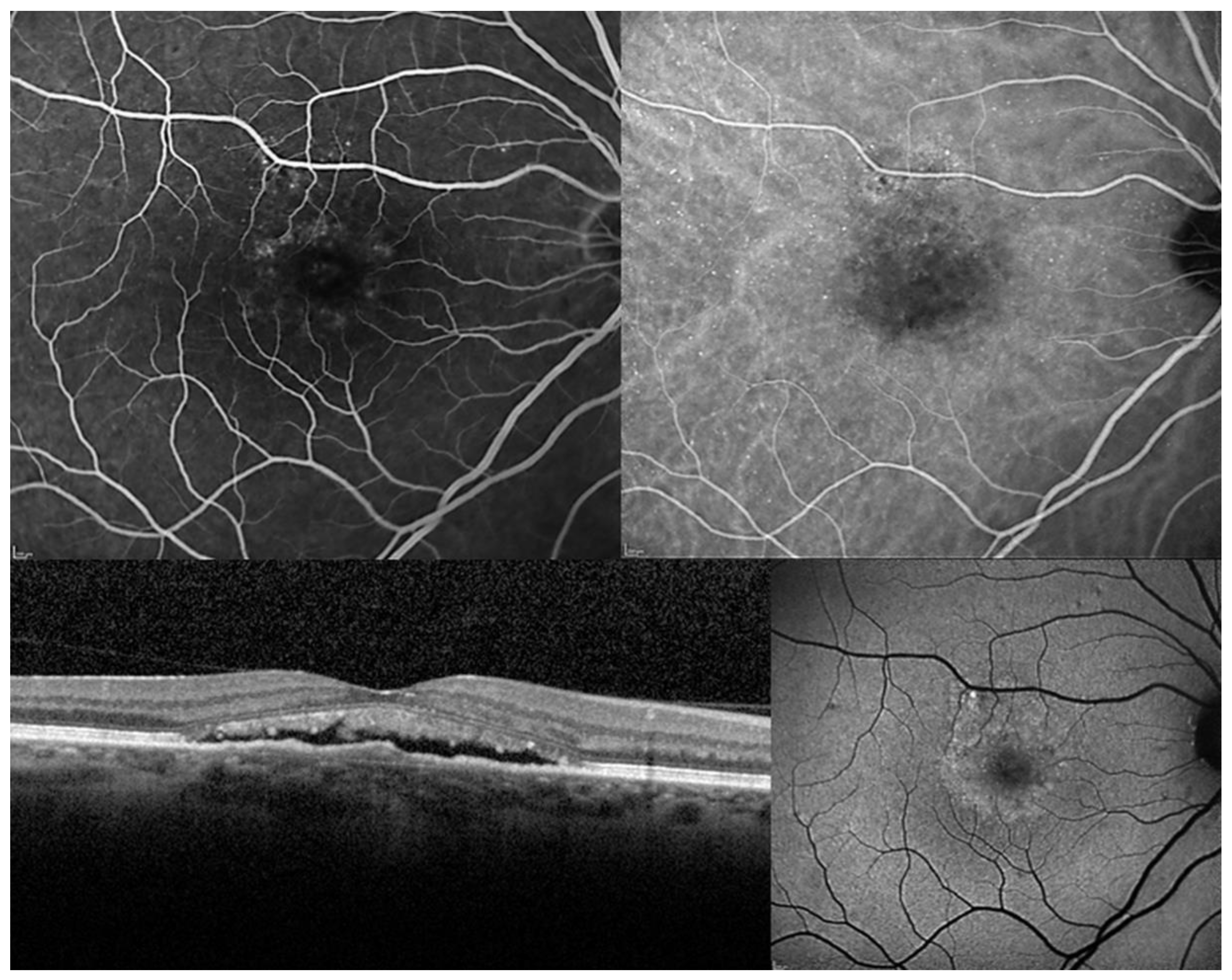 Pharmaceuticals 13 00349 g002