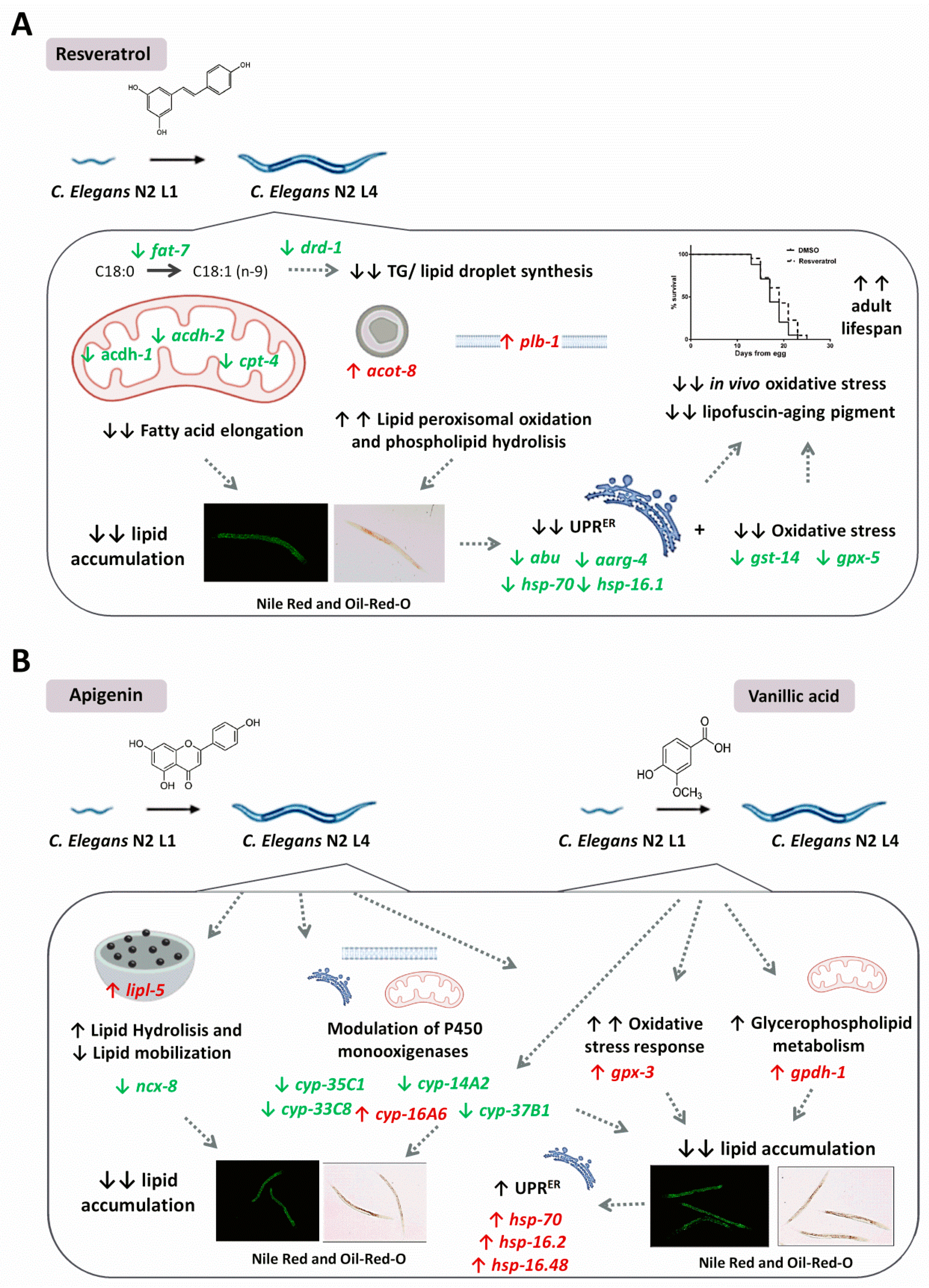 Pharmaceuticals 13 00355 g006