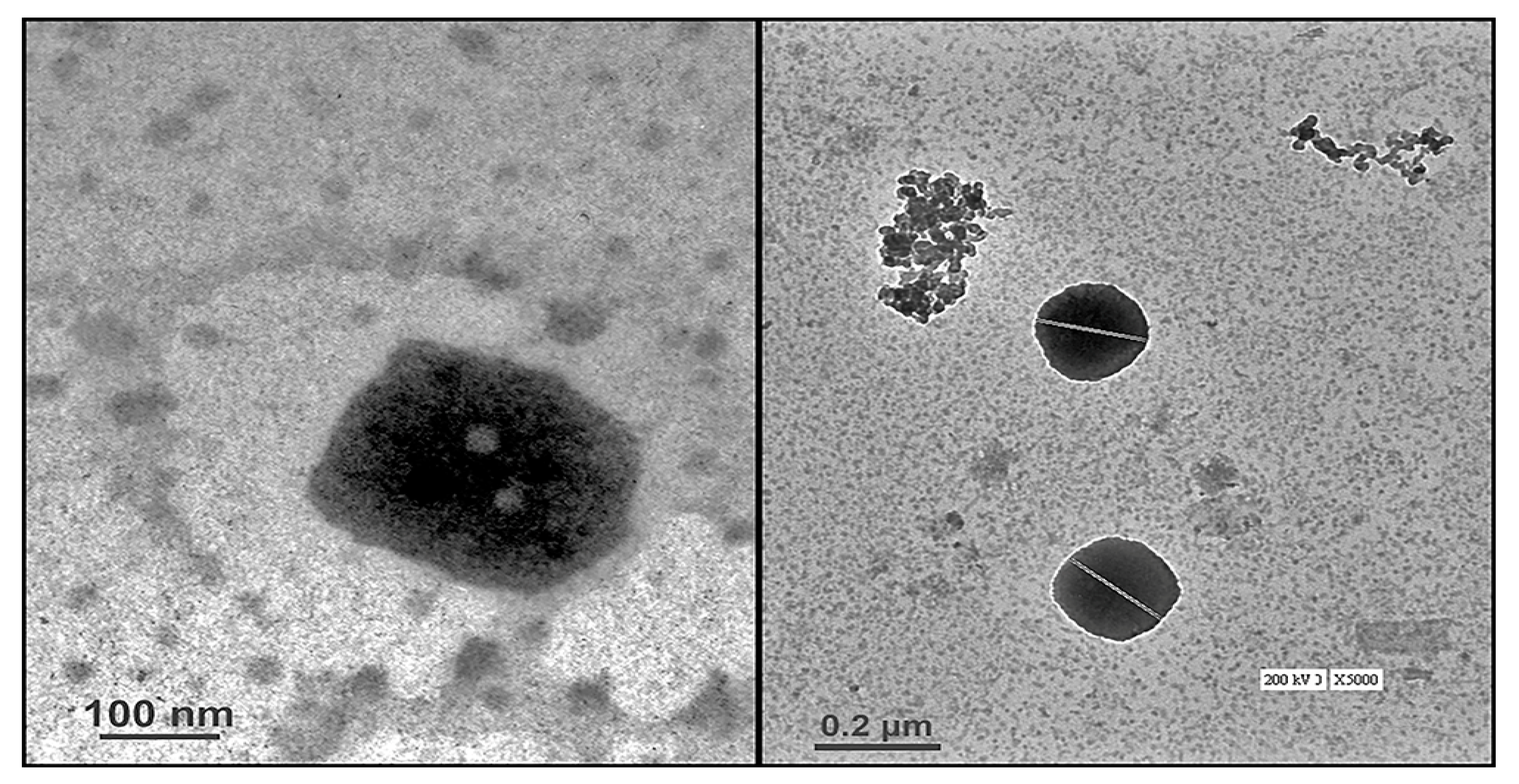 Pharmaceuticals 13 00356 g003 Pharmaceuticals 13 00356 g003