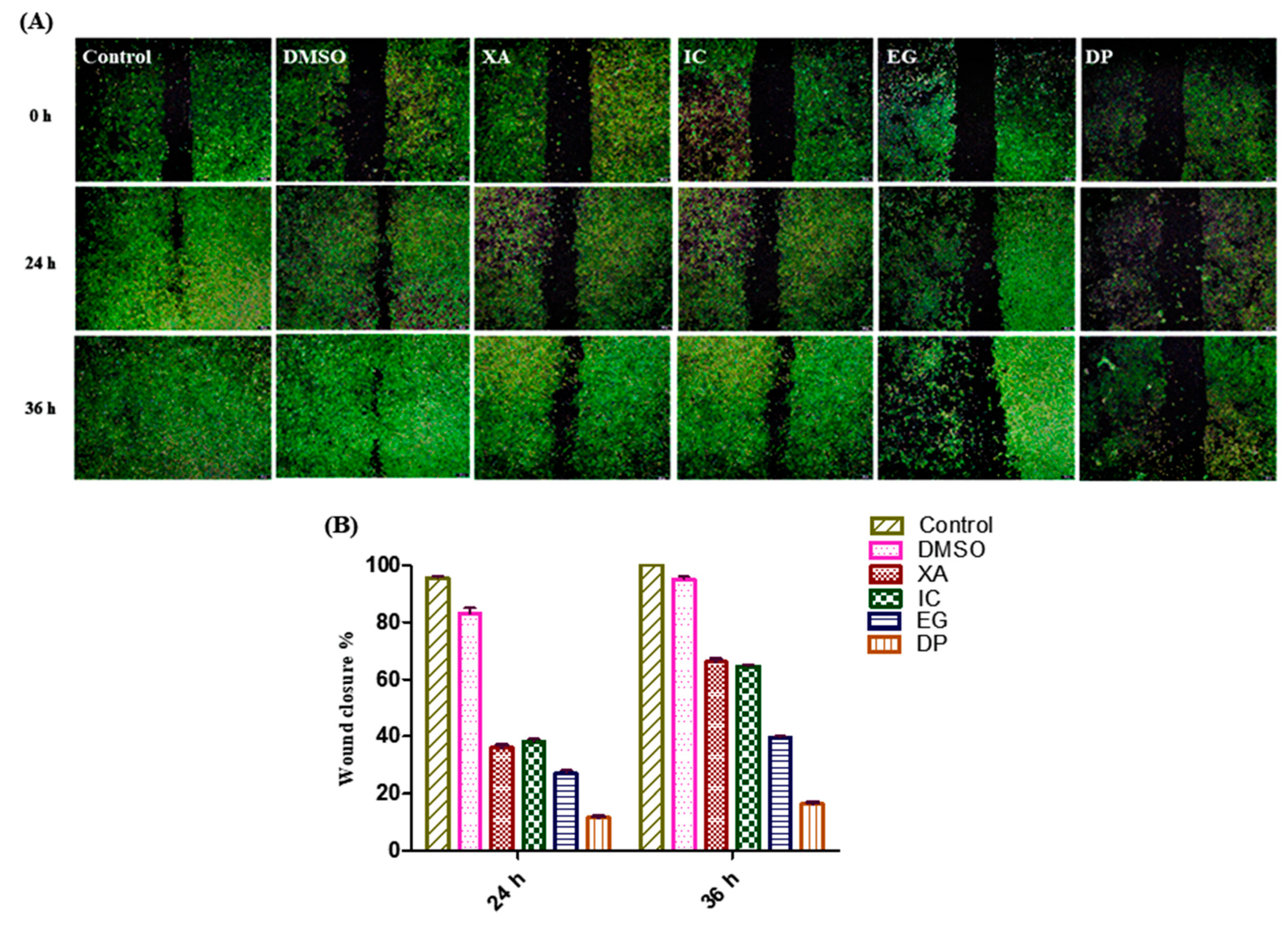 Pharmaceuticals 13 00357 g009 Pharmaceuticals 13 00357 g009