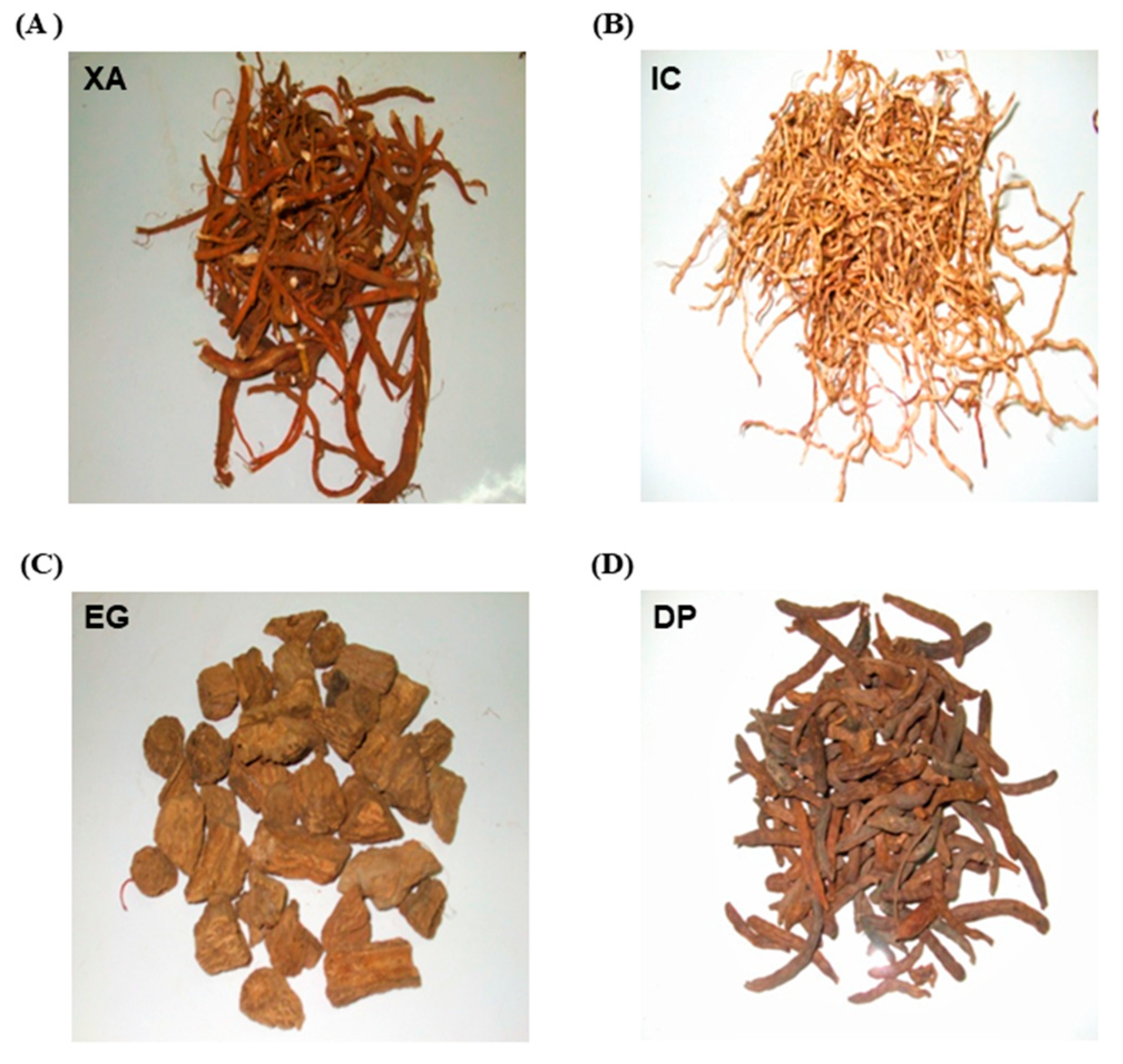 Pharmaceuticals 13 00357 g011 Pharmaceuticals 13 00357 g011