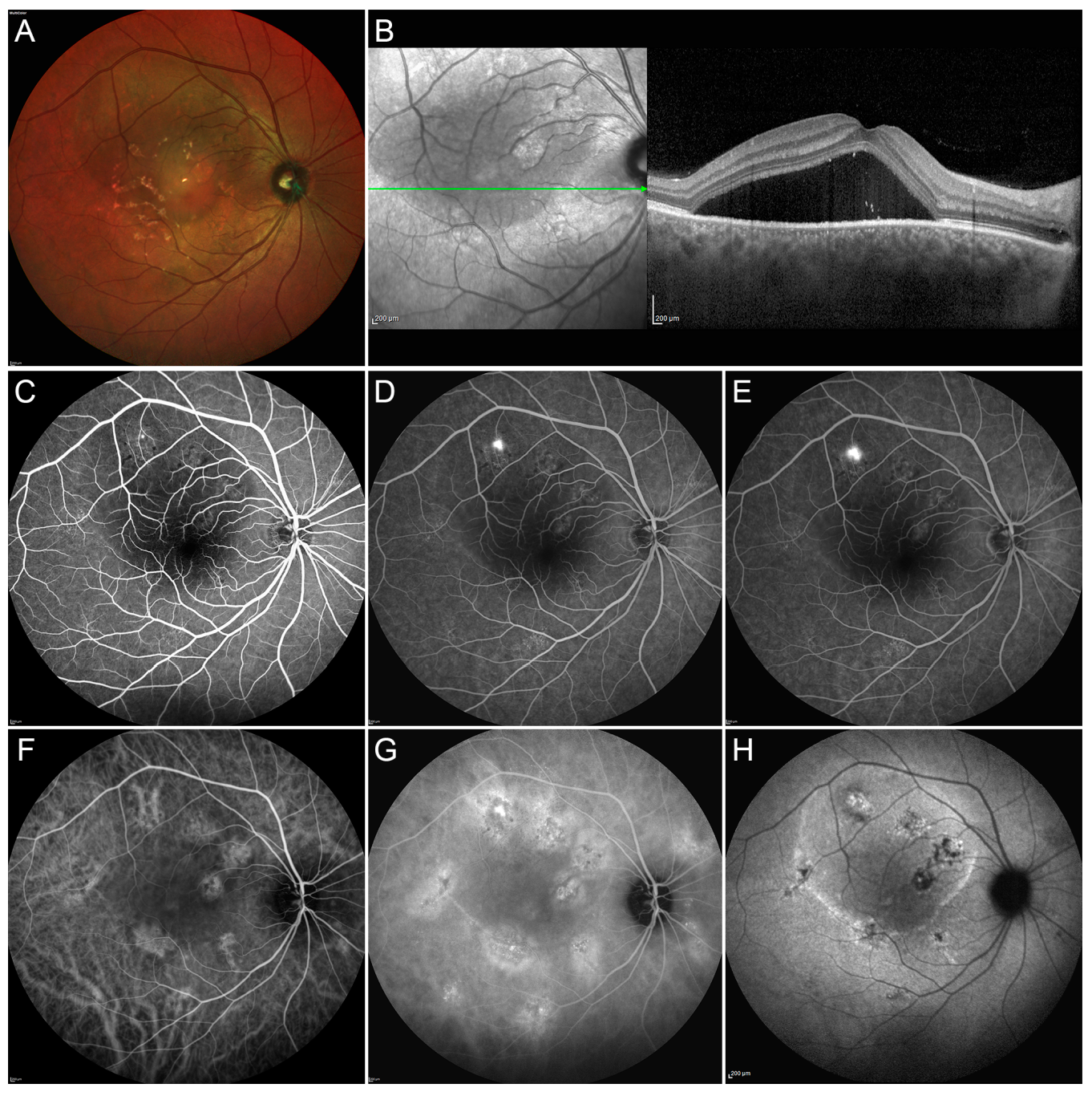 Pharmaceuticals 13 00359 g001