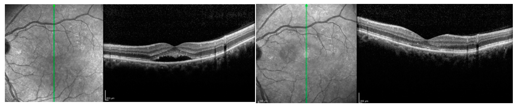 Pharmaceuticals 13 00359 g003