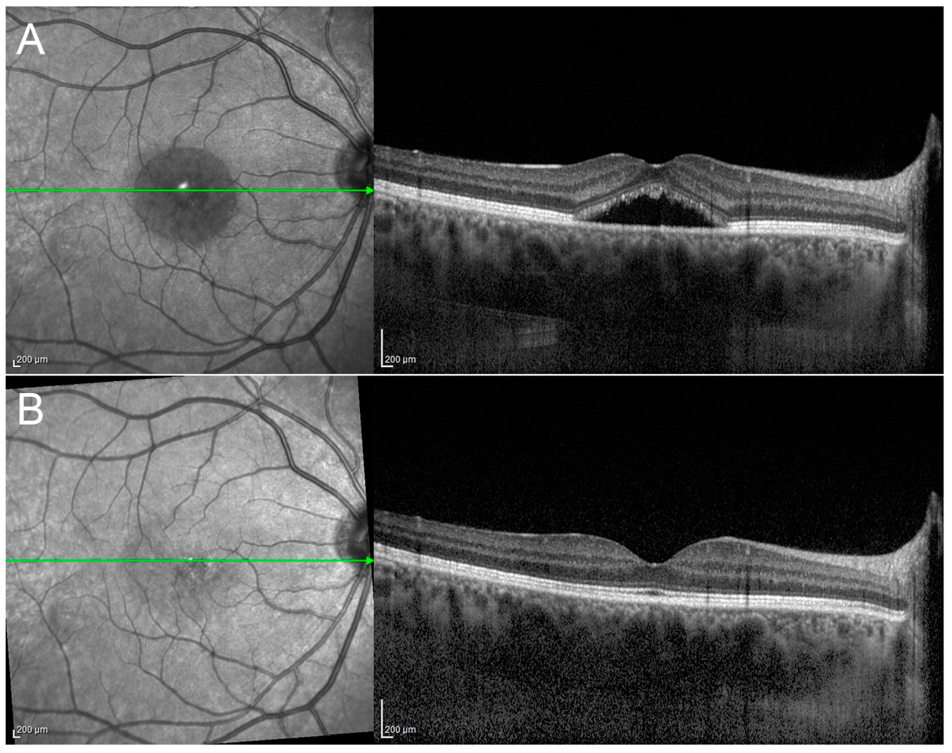 Pharmaceuticals 13 00359 g005