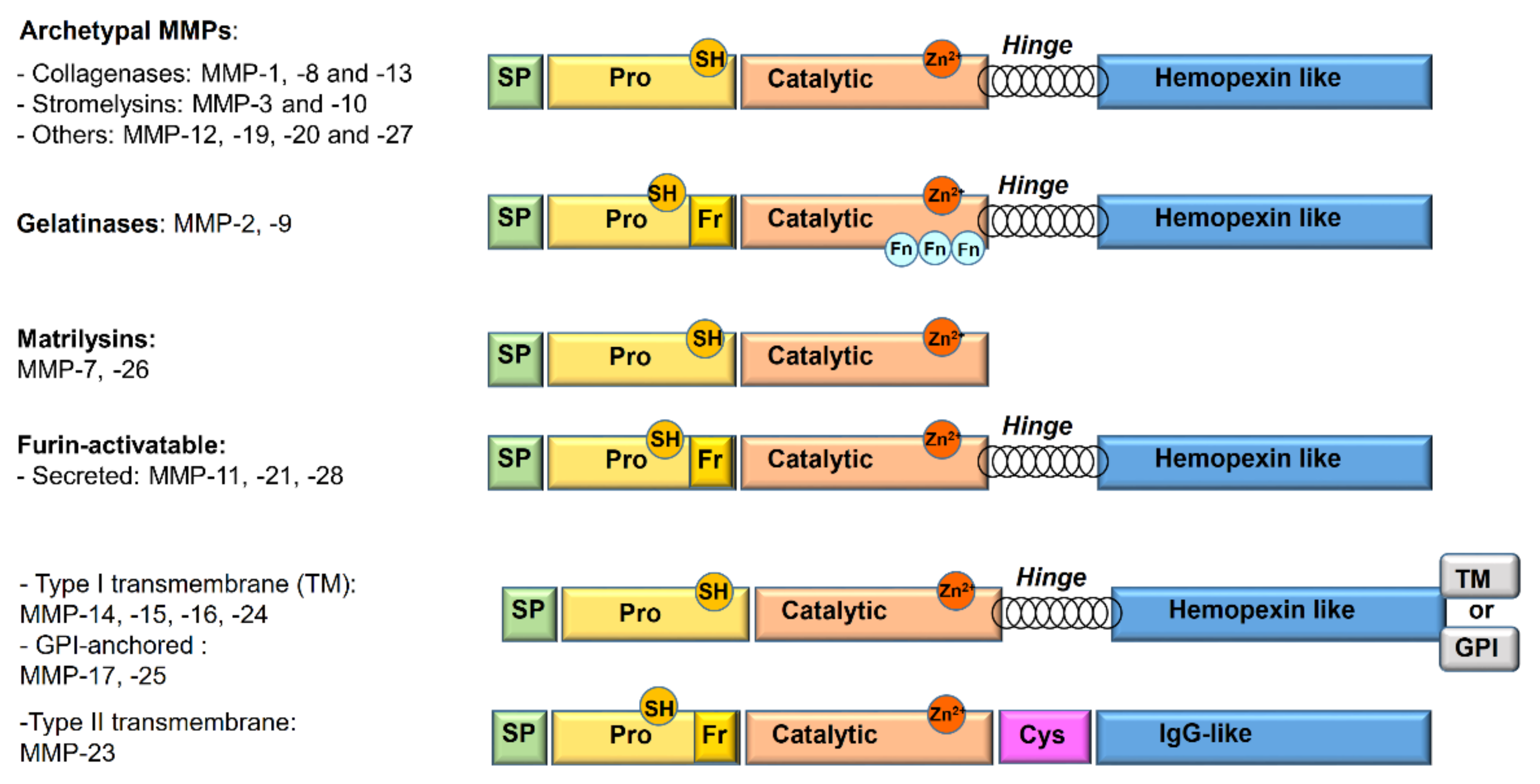 Pharmaceuticals 13 00376 g001