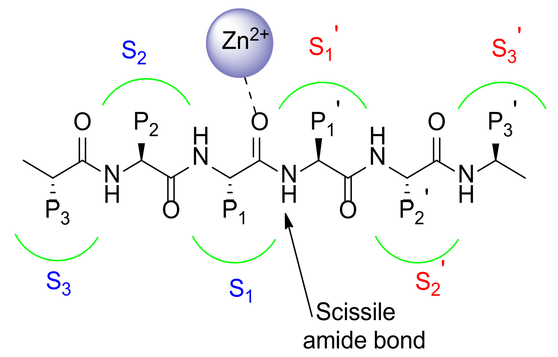 Pharmaceuticals 13 00376 g003