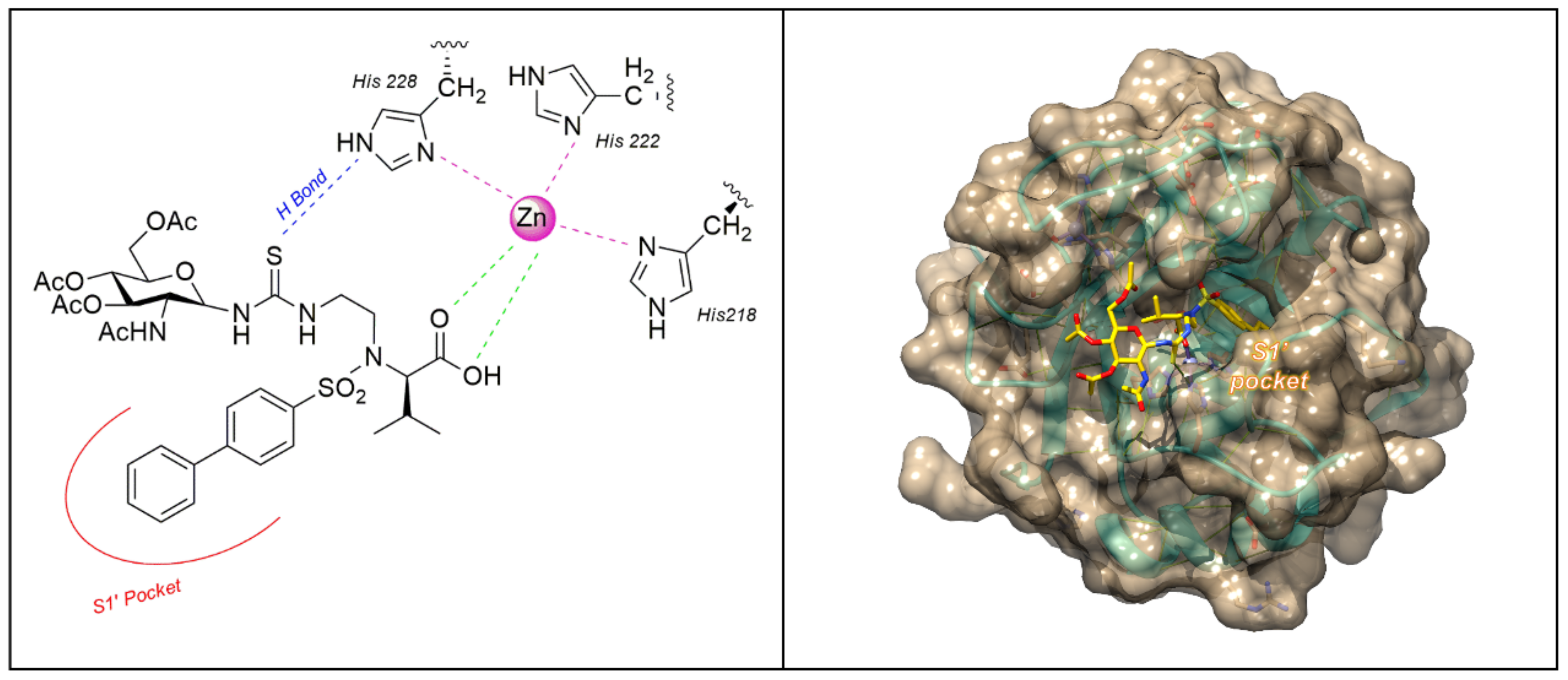 Pharmaceuticals 13 00376 g008