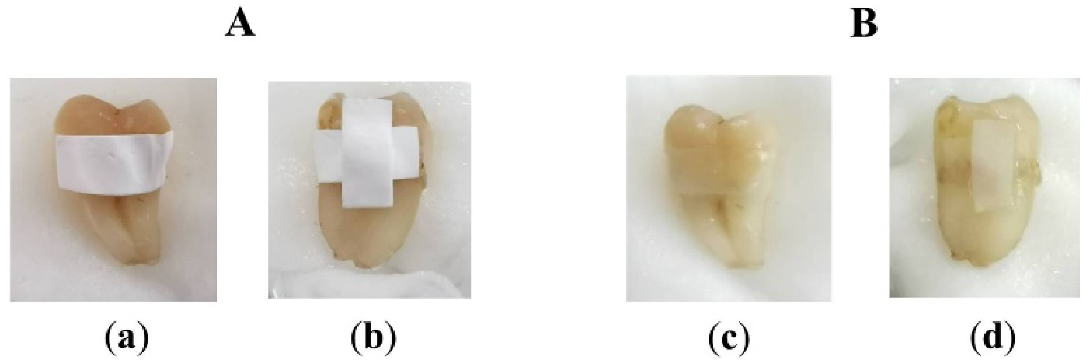 Pharmaceuticals 13 00381 g007