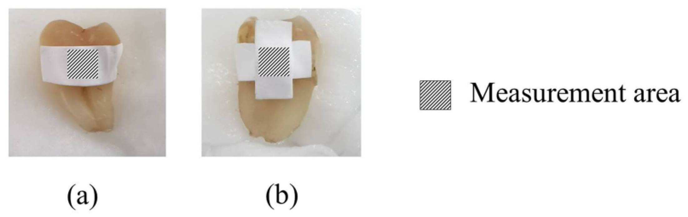 Pharmaceuticals 13 00381 g009