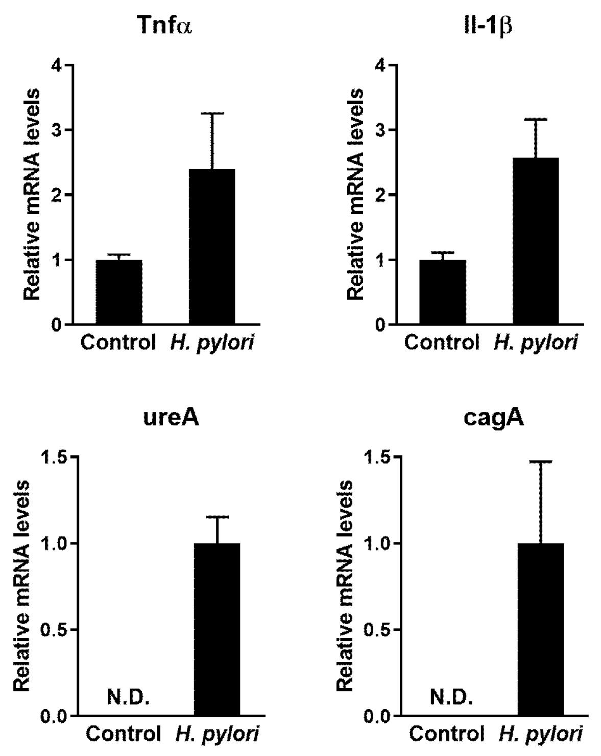 Pharmaceuticals 13 00384 g002