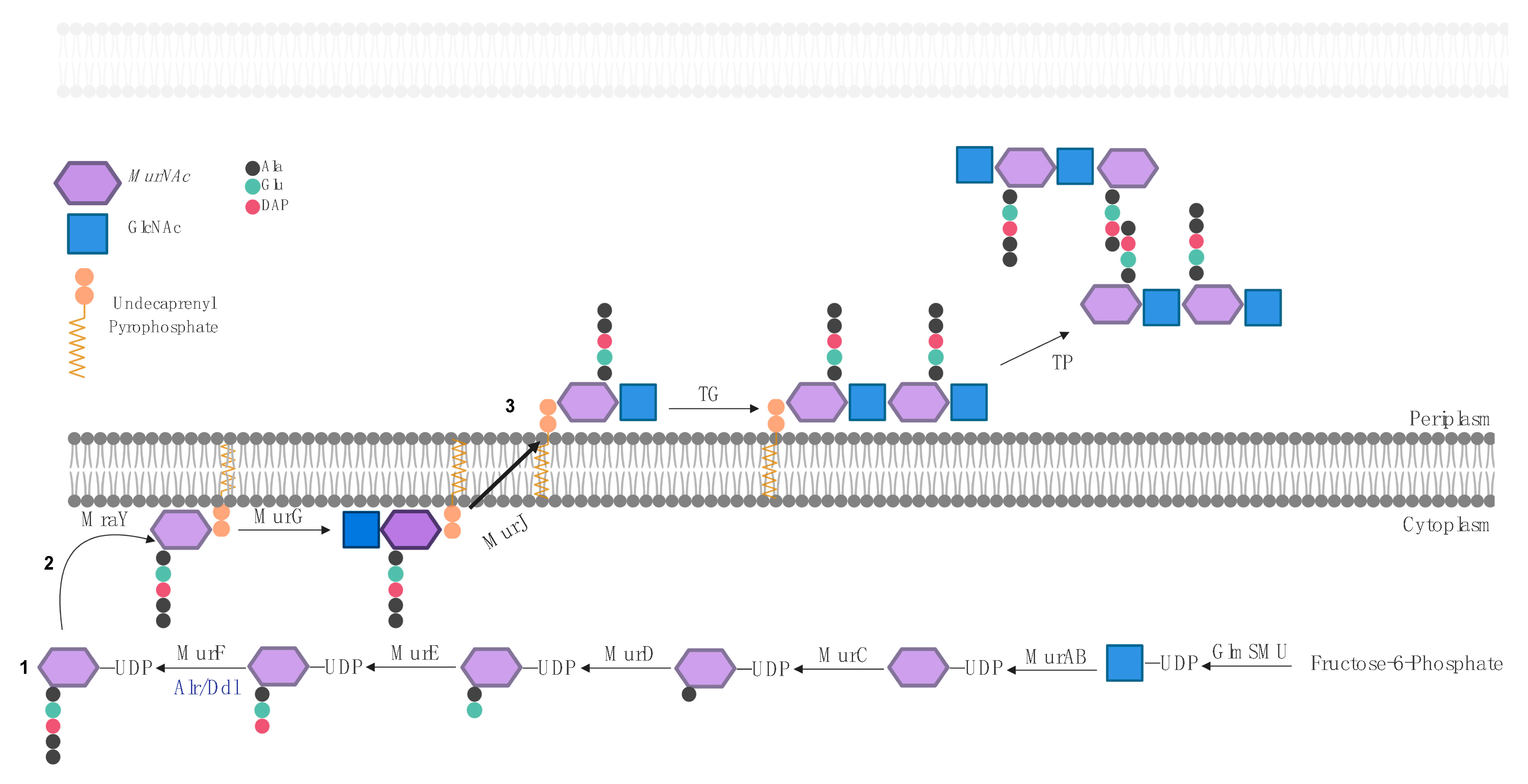 Pharmaceuticals 13 00392 g002