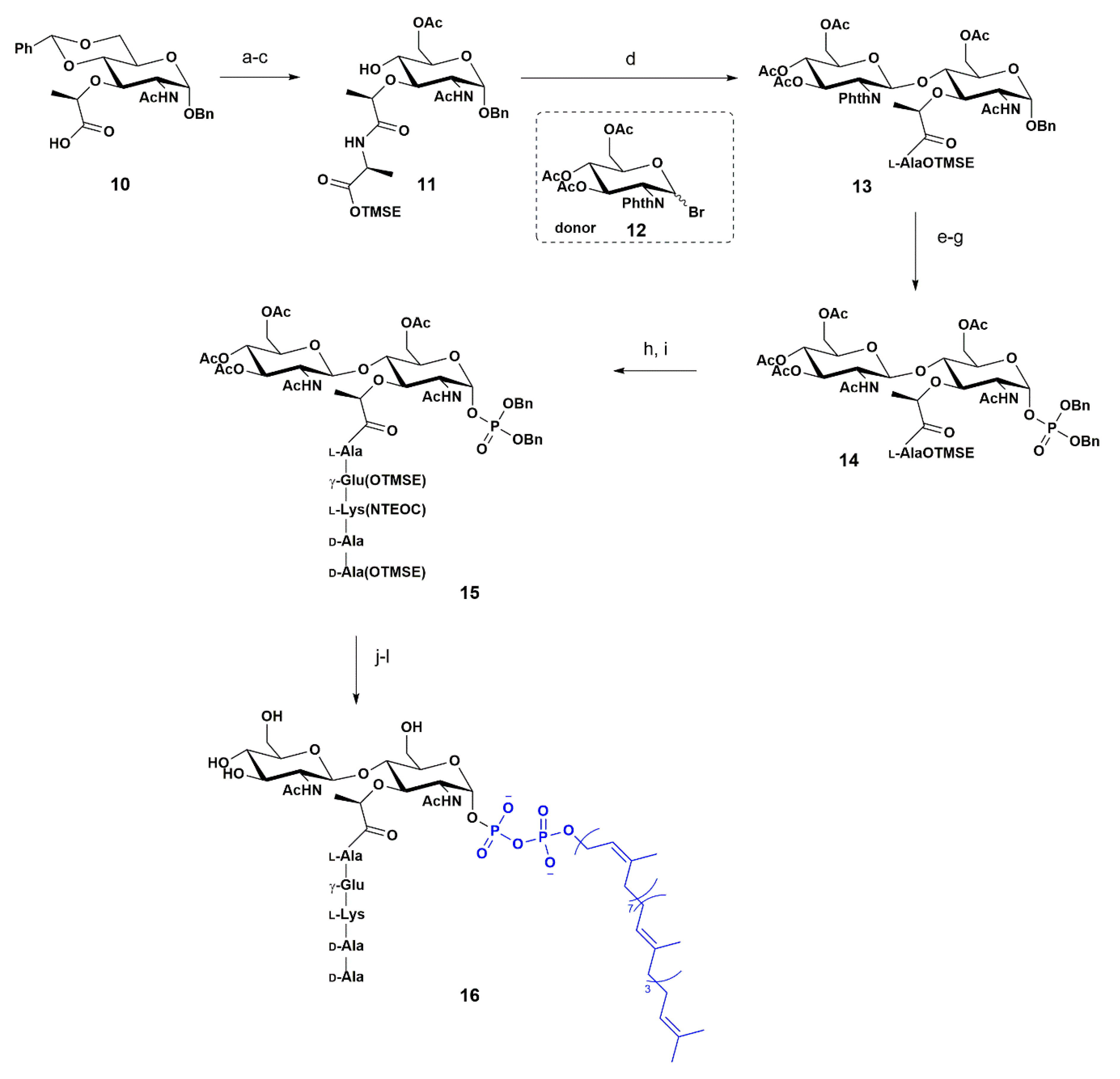 Pharmaceuticals 13 00392 sch002