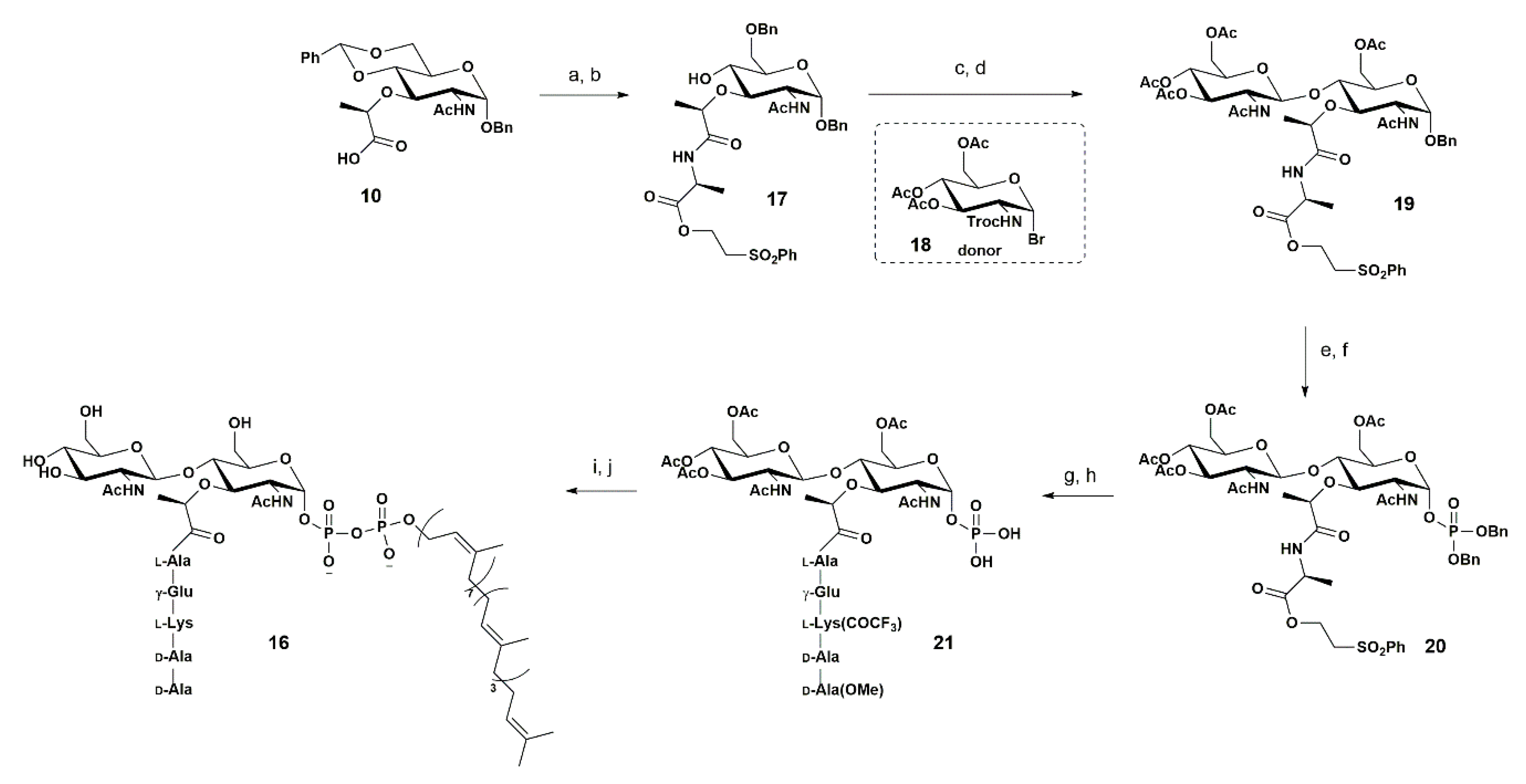 Pharmaceuticals 13 00392 sch003