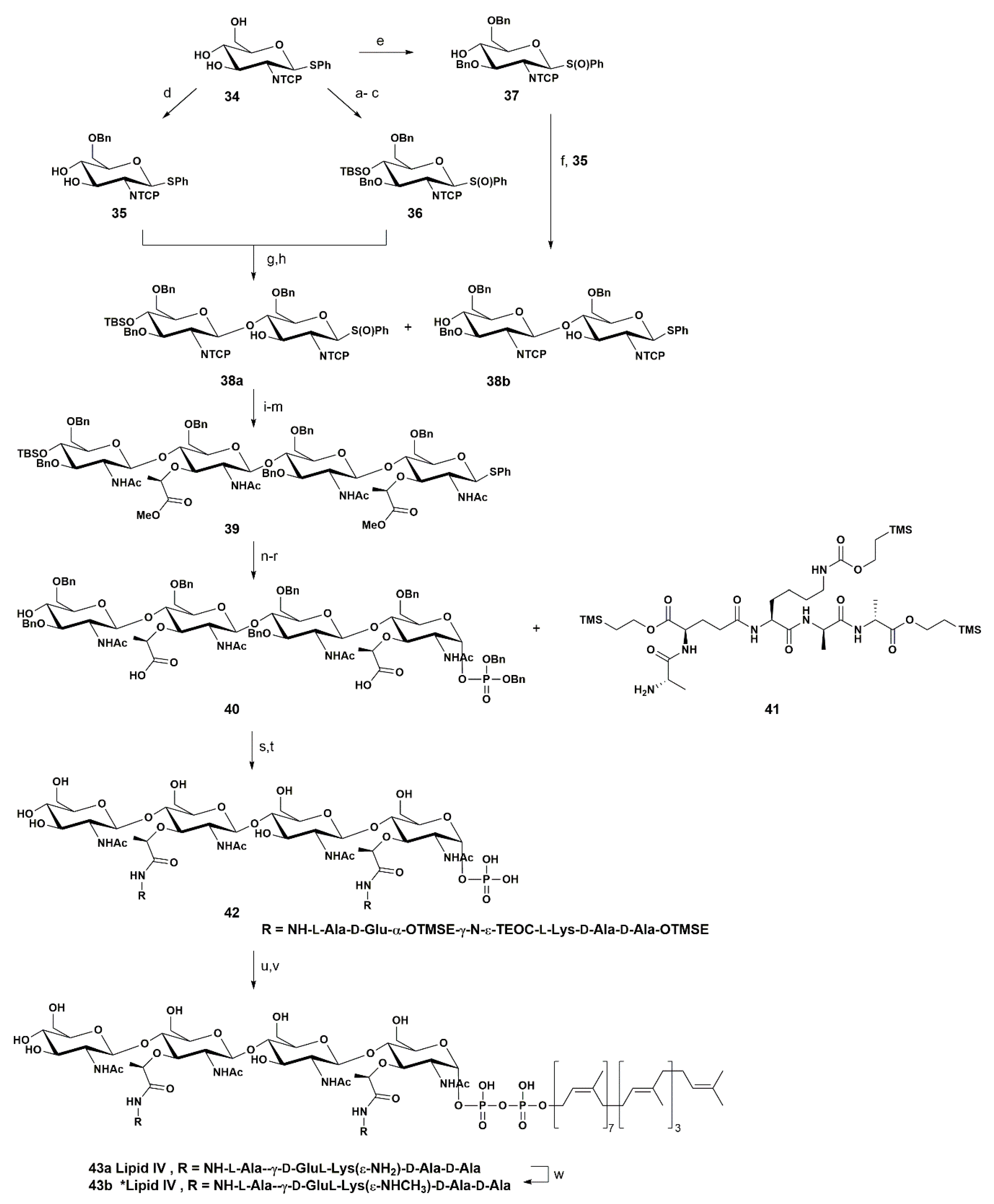 Pharmaceuticals 13 00392 sch006