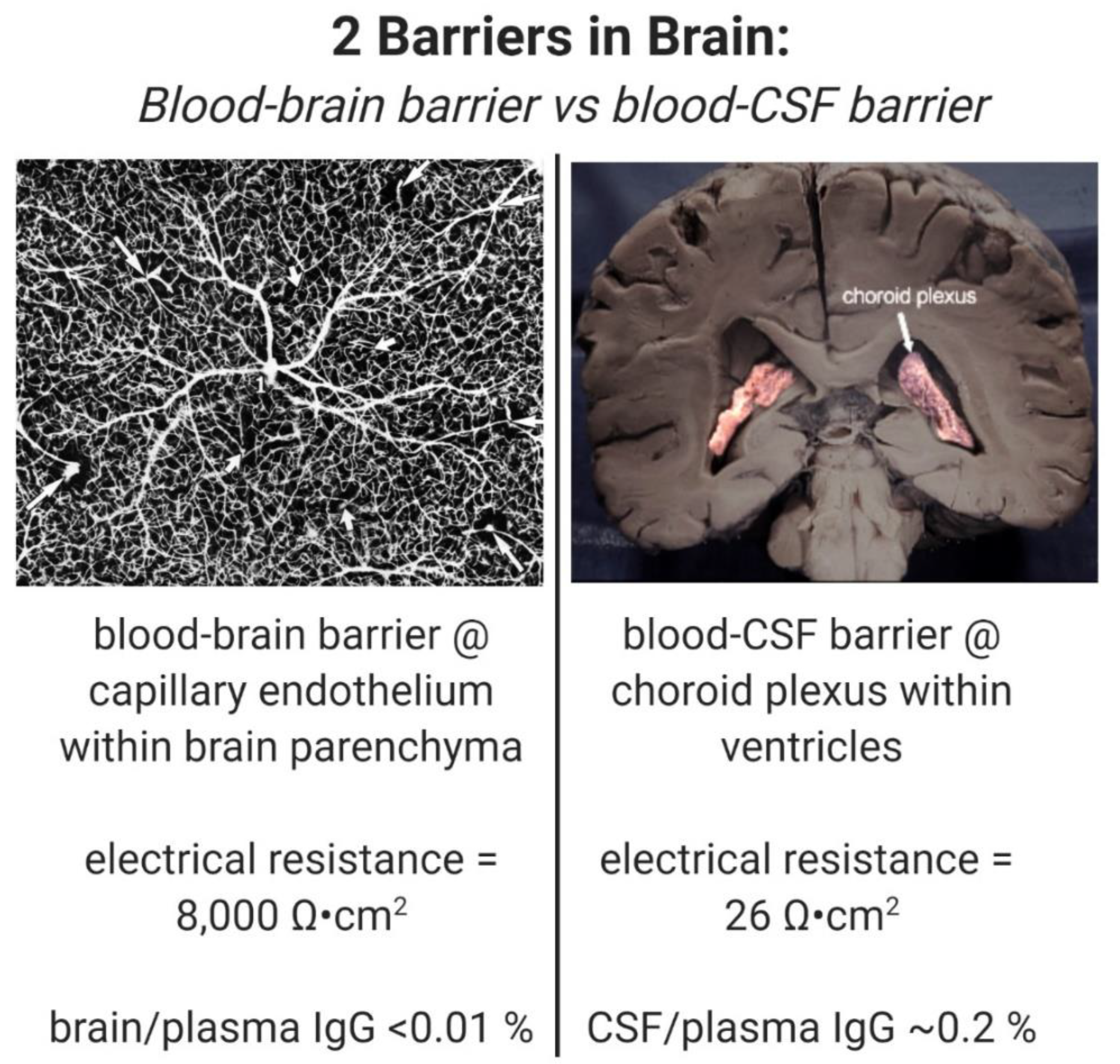 Pharmaceuticals 13 00394 g001