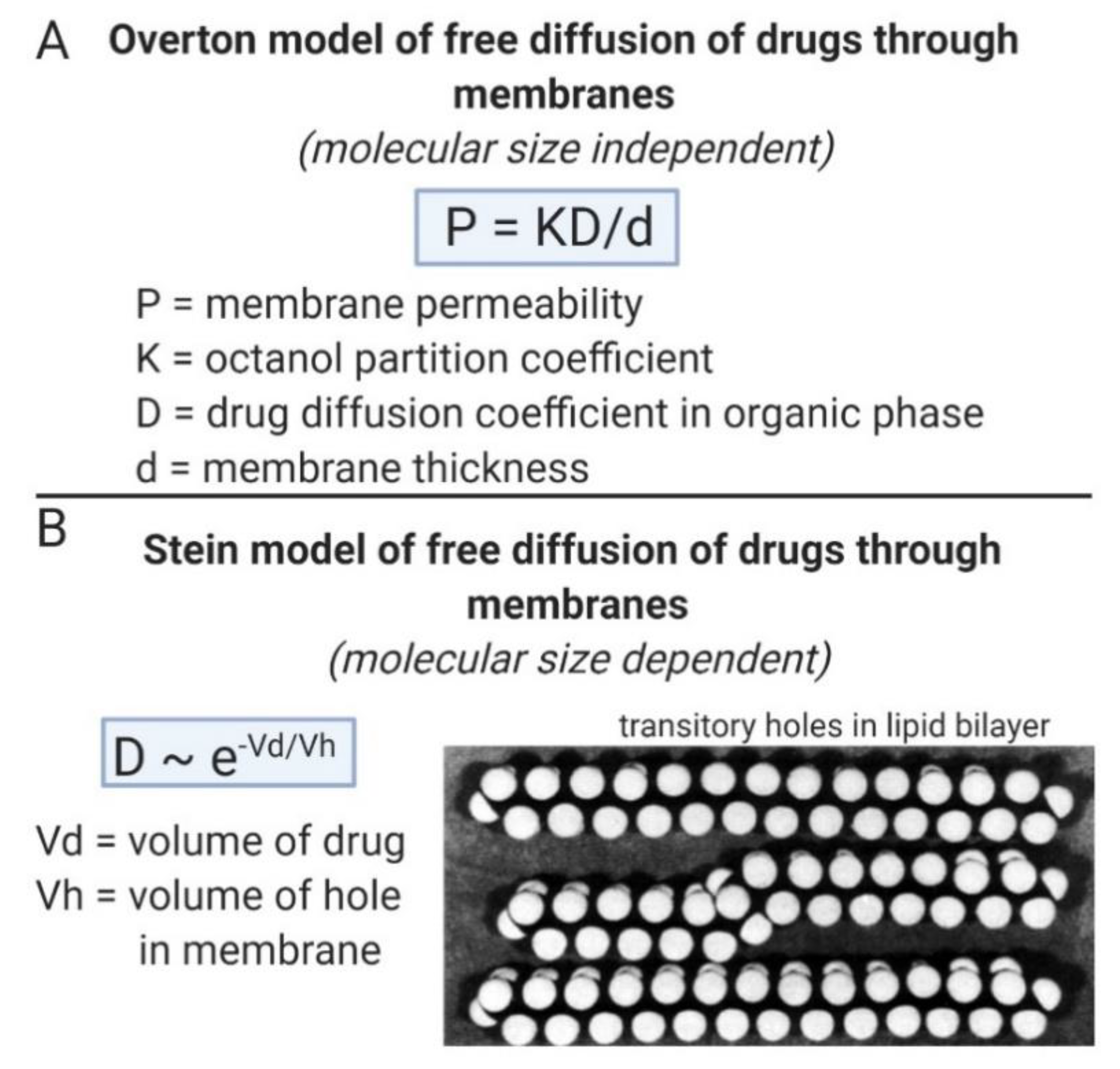 Pharmaceuticals 13 00394 g002