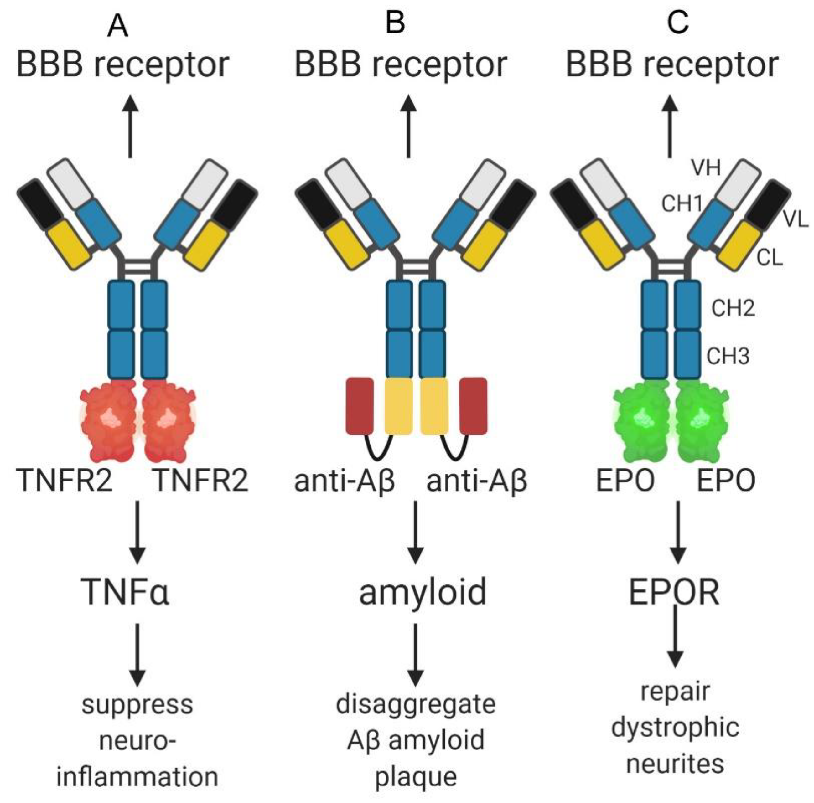 Pharmaceuticals 13 00394 g003