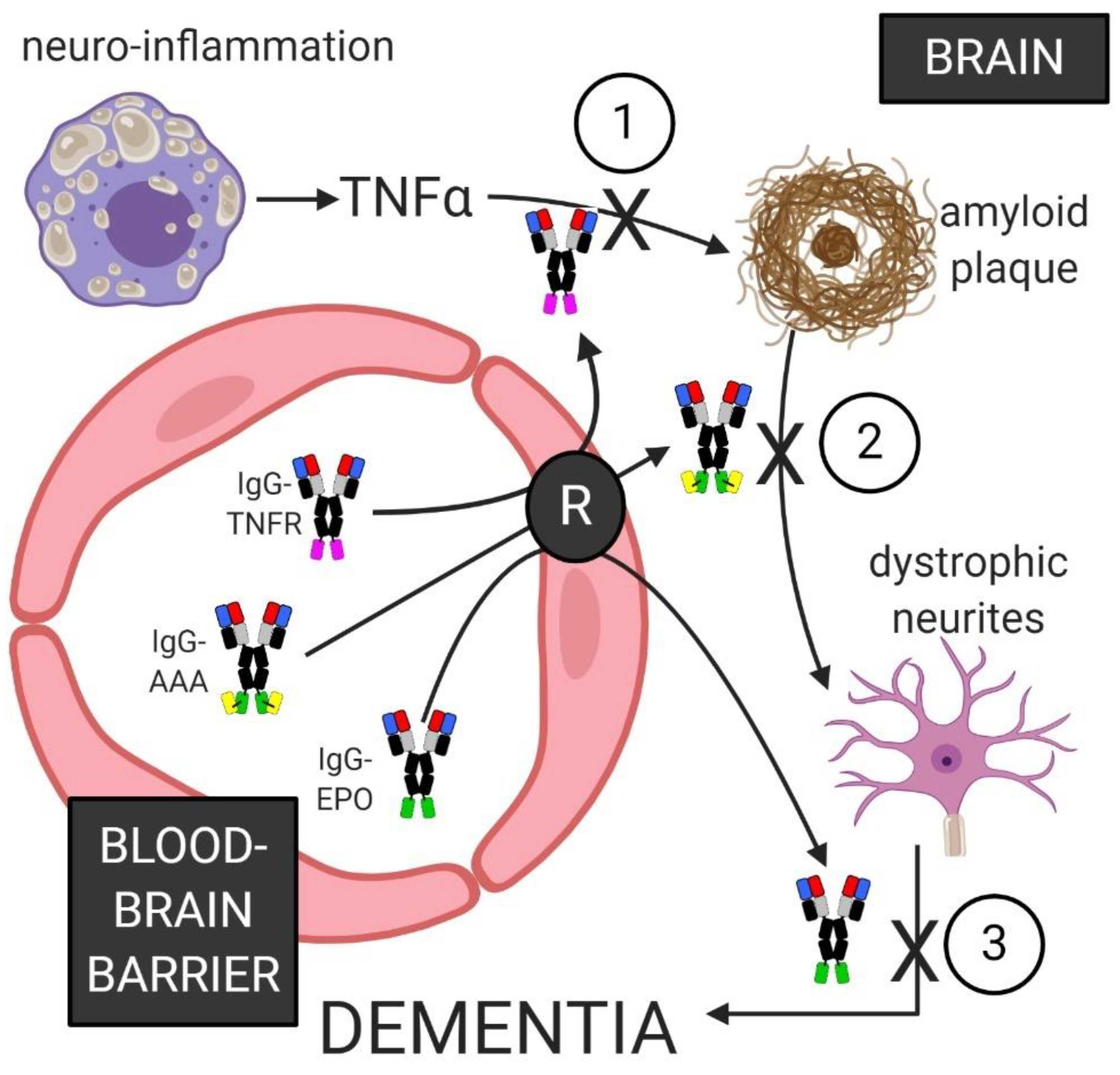 Pharmaceuticals 13 00394 g004
