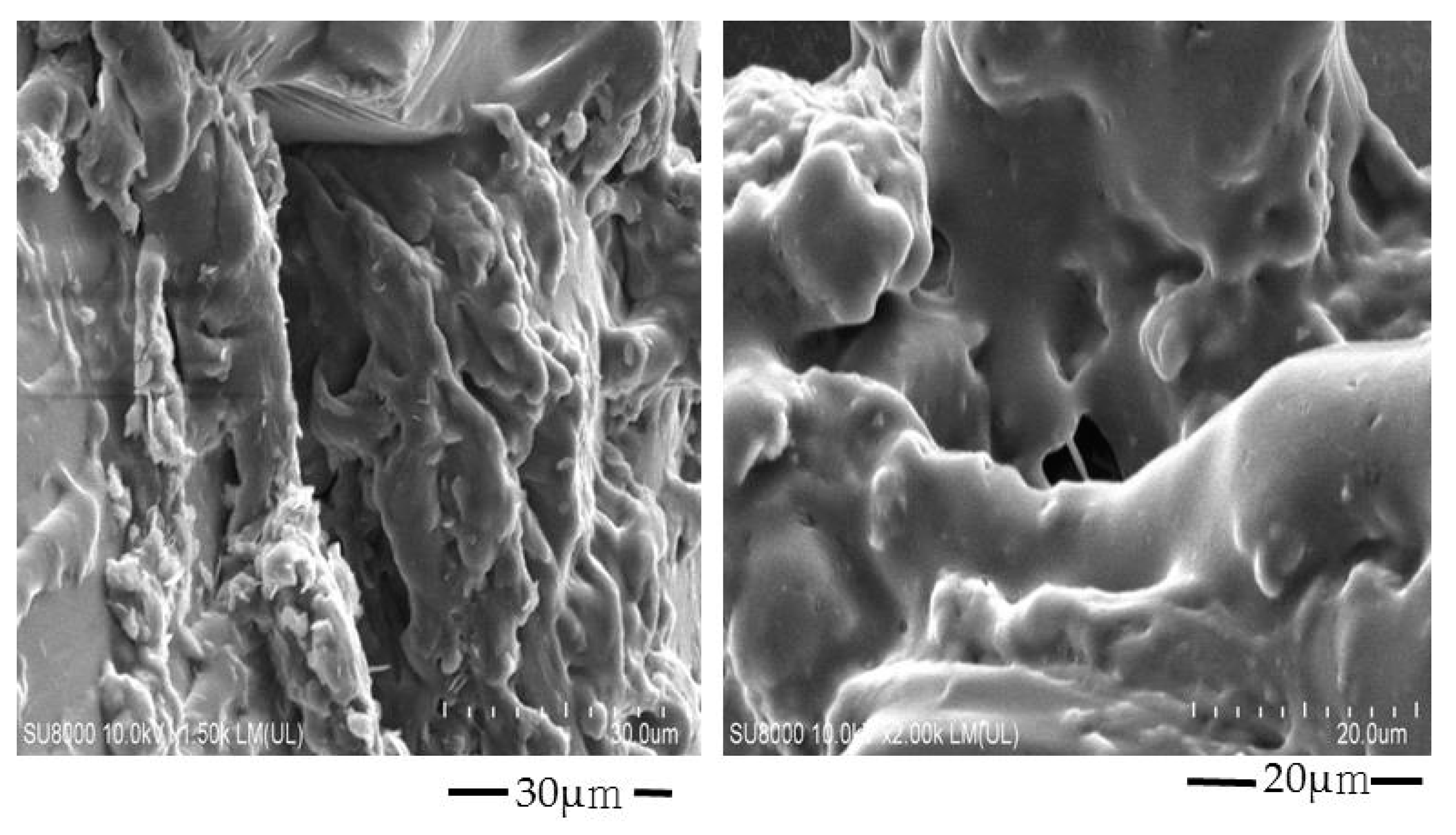 Pharmaceuticals 13 00399 g004 Pharmaceuticals 13 00399 g004