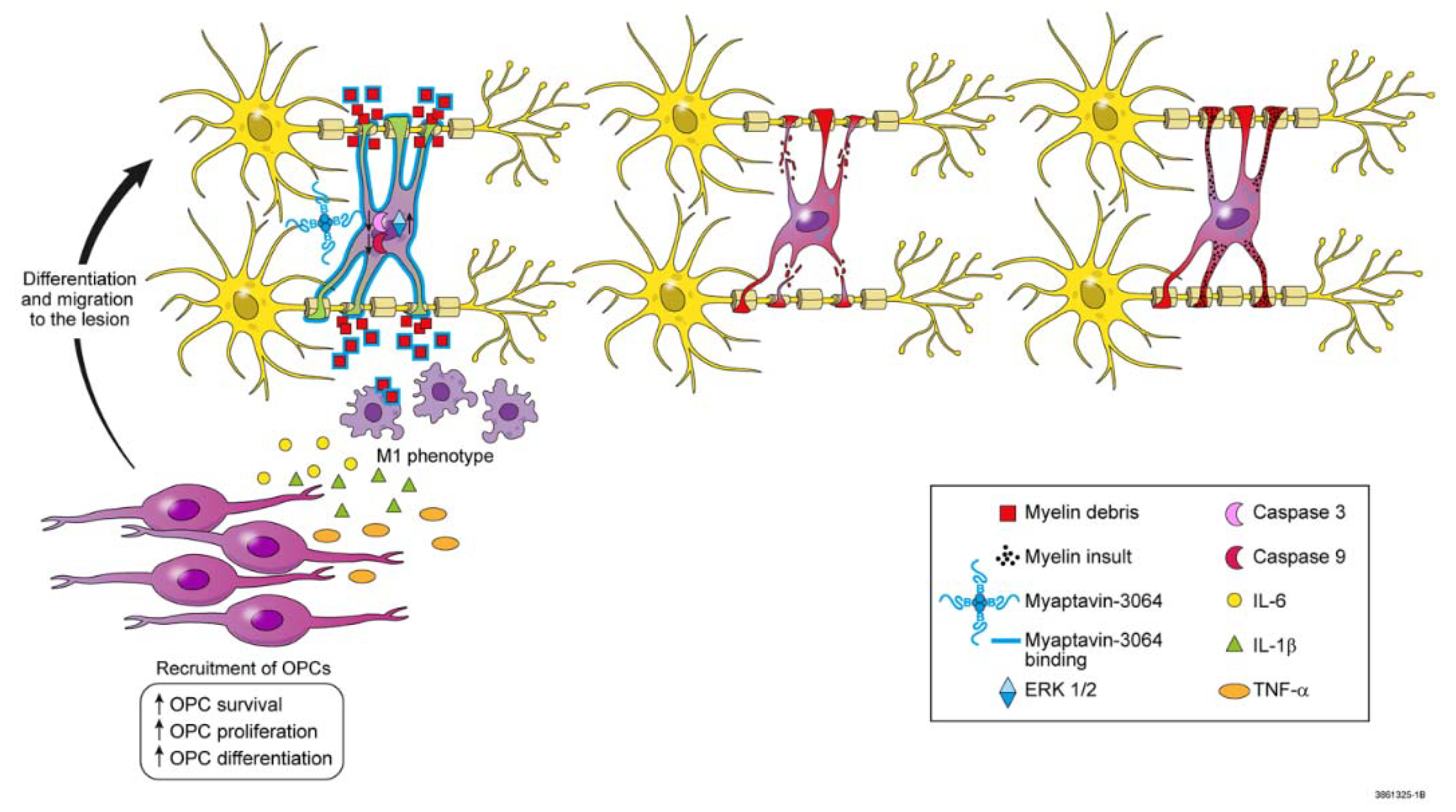 Pharmaceuticals 13 00403 g005